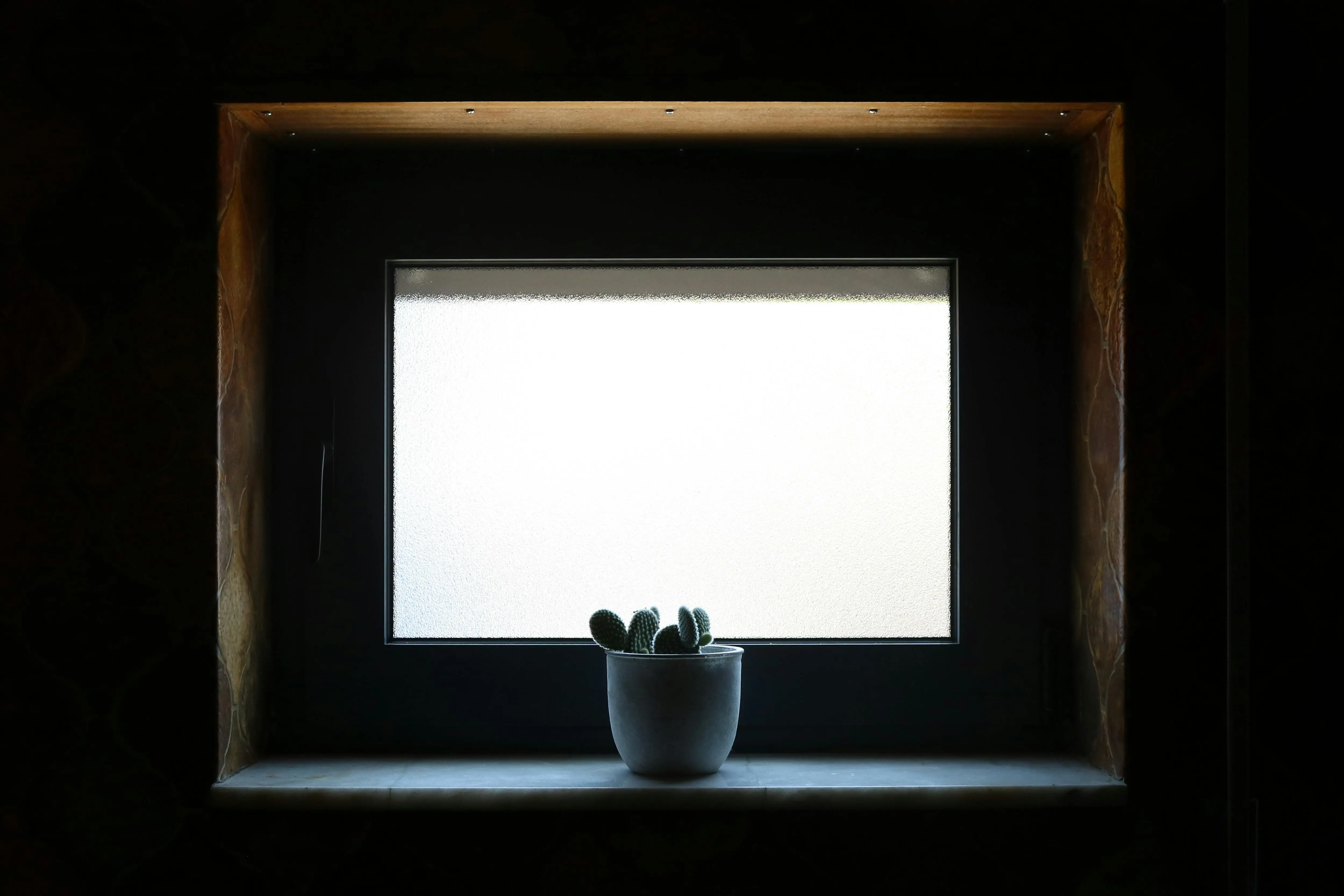 what keeps ants away A rustic room showcasing a potted cactus on a windowsill with filtered natural light.