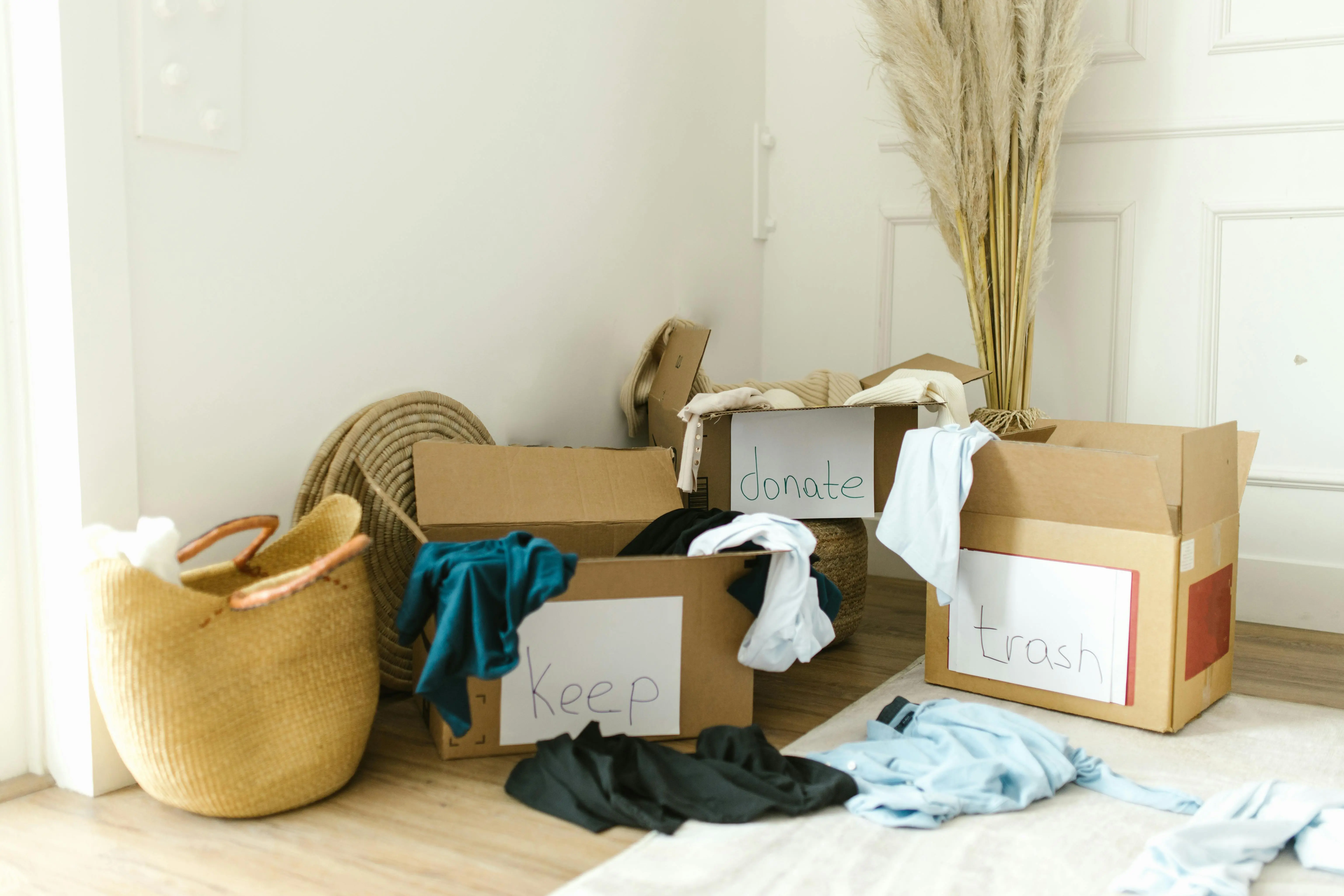 how to get rid of spiders in your house Cardboard boxes labeled 'Keep', 'Donate', and 'Trash' for home decluttering.