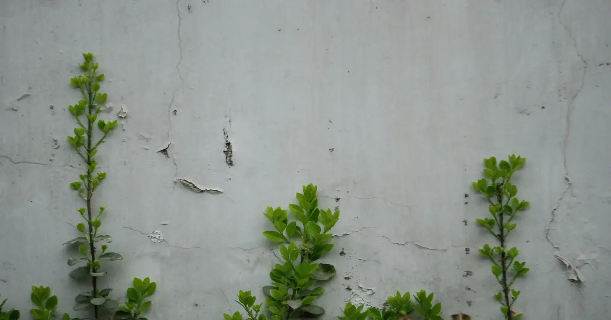 in wall pest control