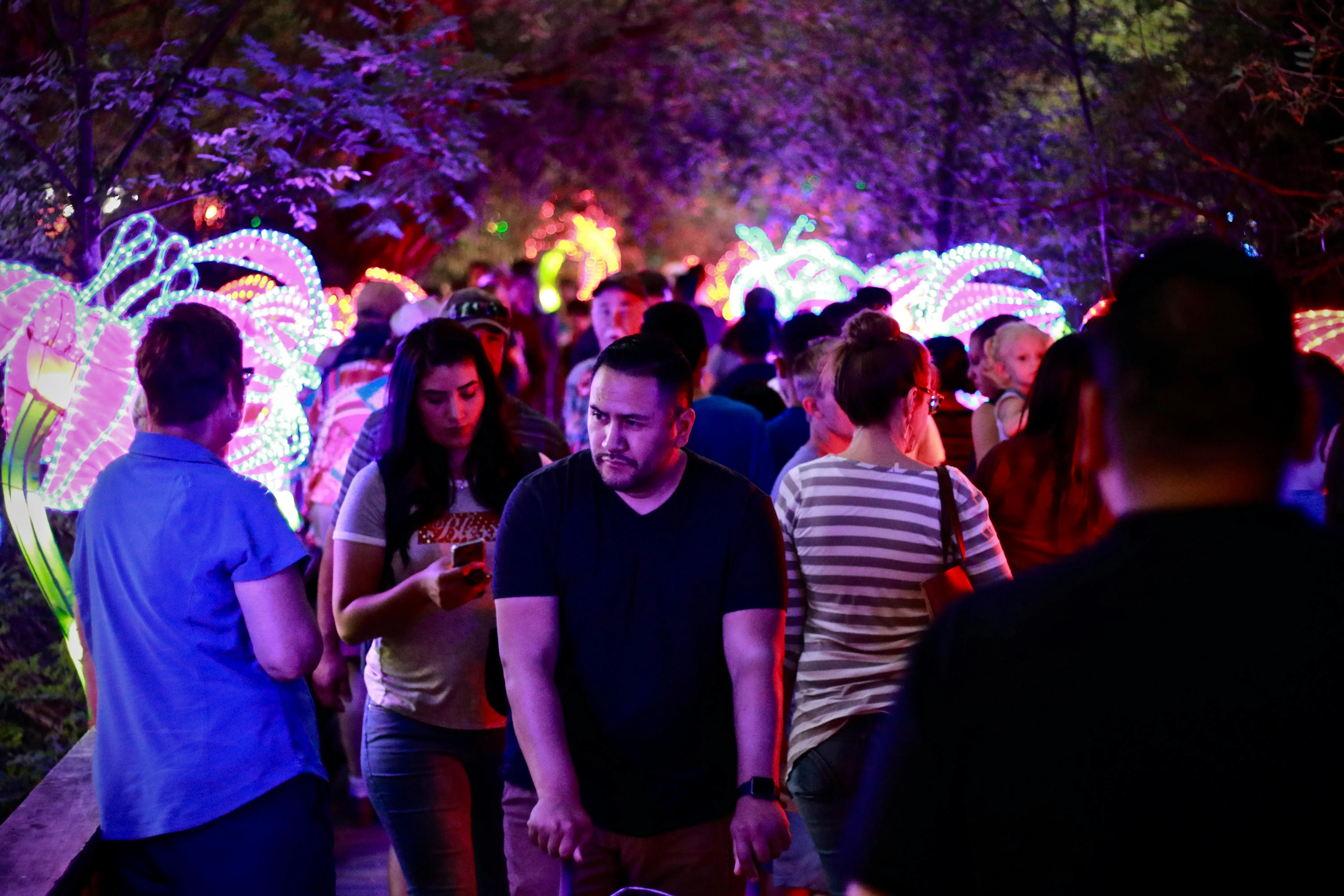 low voltage pathway lights A crowded outdoor night scene with people enjoying vibrant exhibition lights in a festive atmosphere.