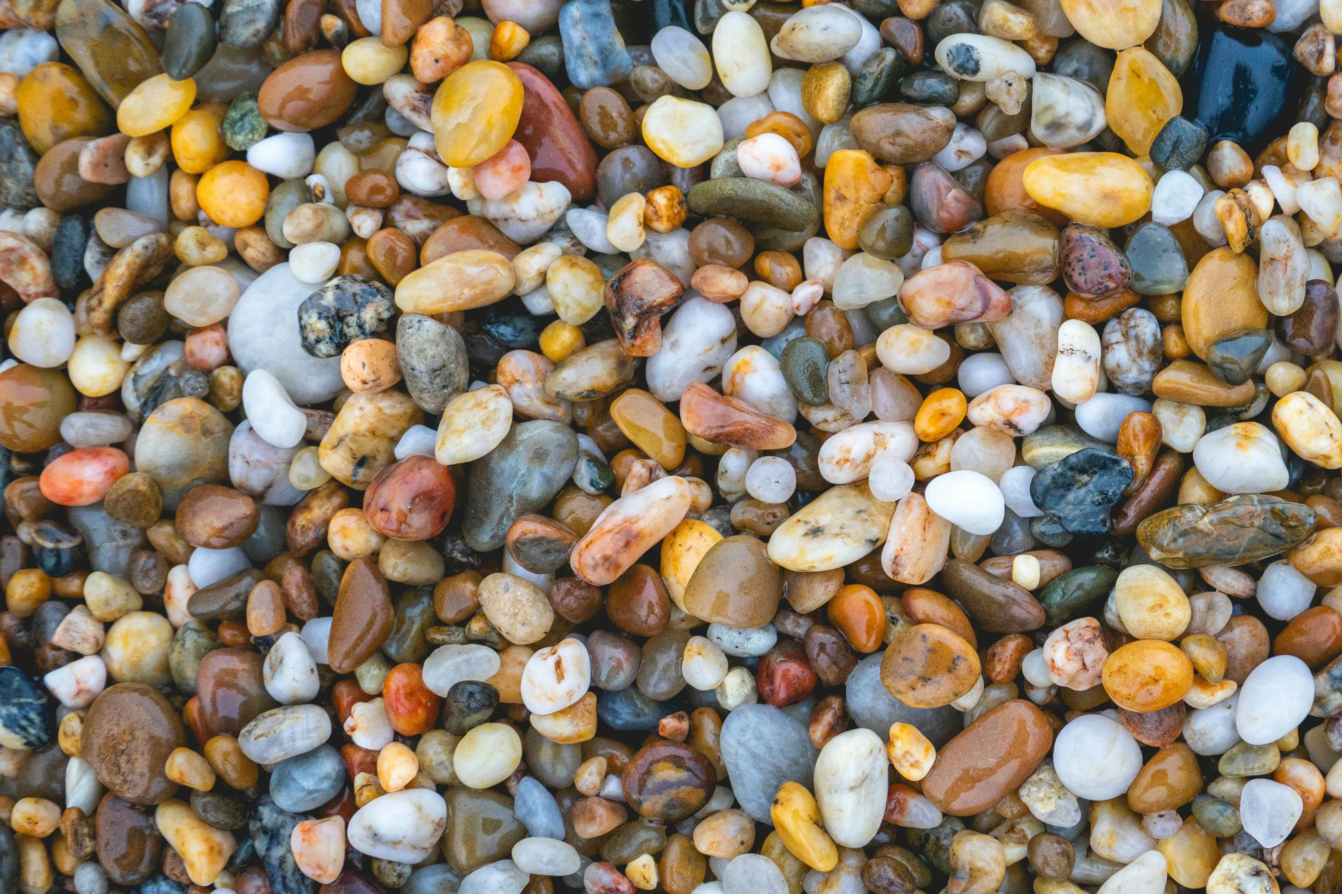 peel and stick stone tile Vibrant and smooth pebbles with varied textures from Porto, Portugal beach.