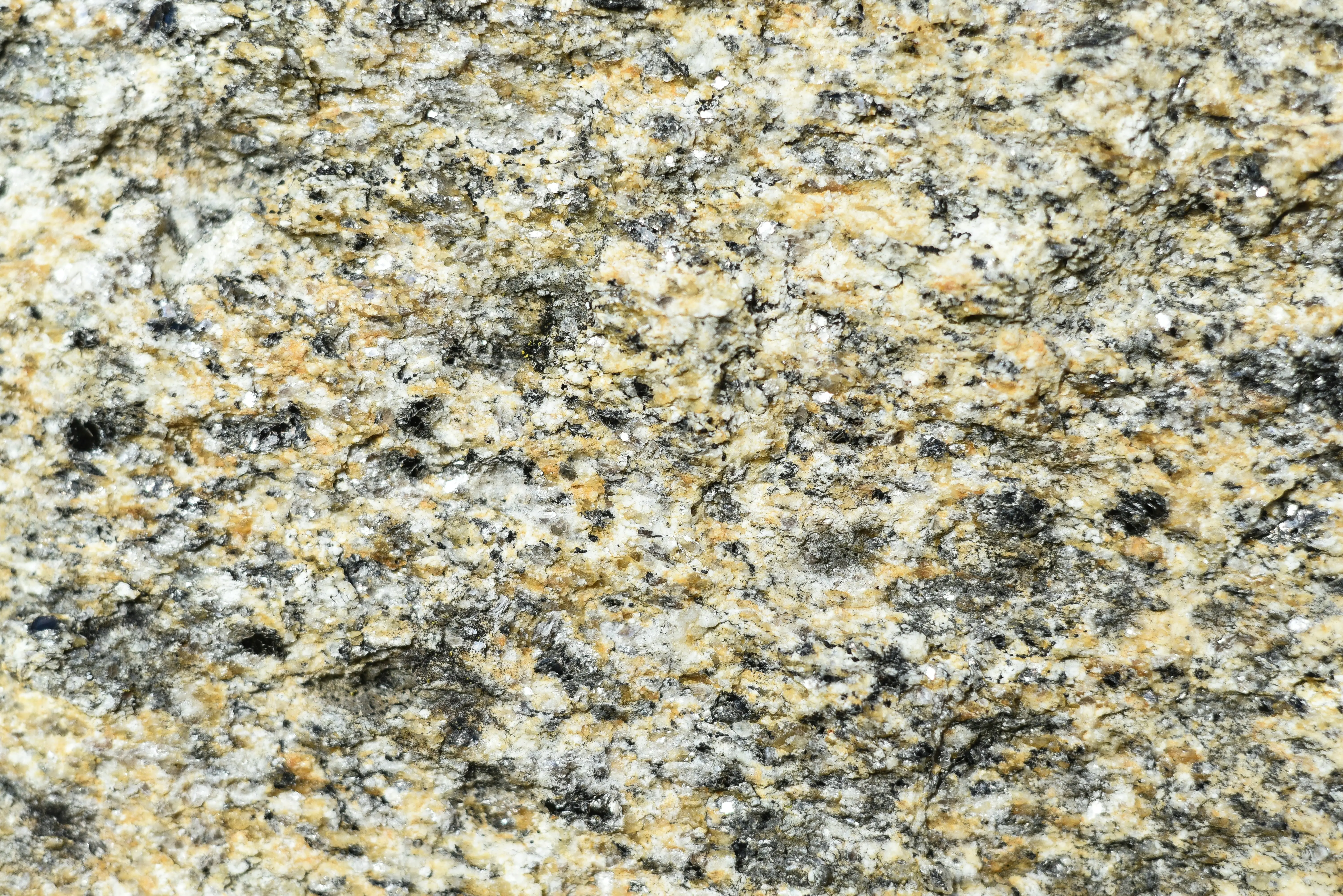 Grey Granite Countertops Colors : 7 Stunning Options Revealed !