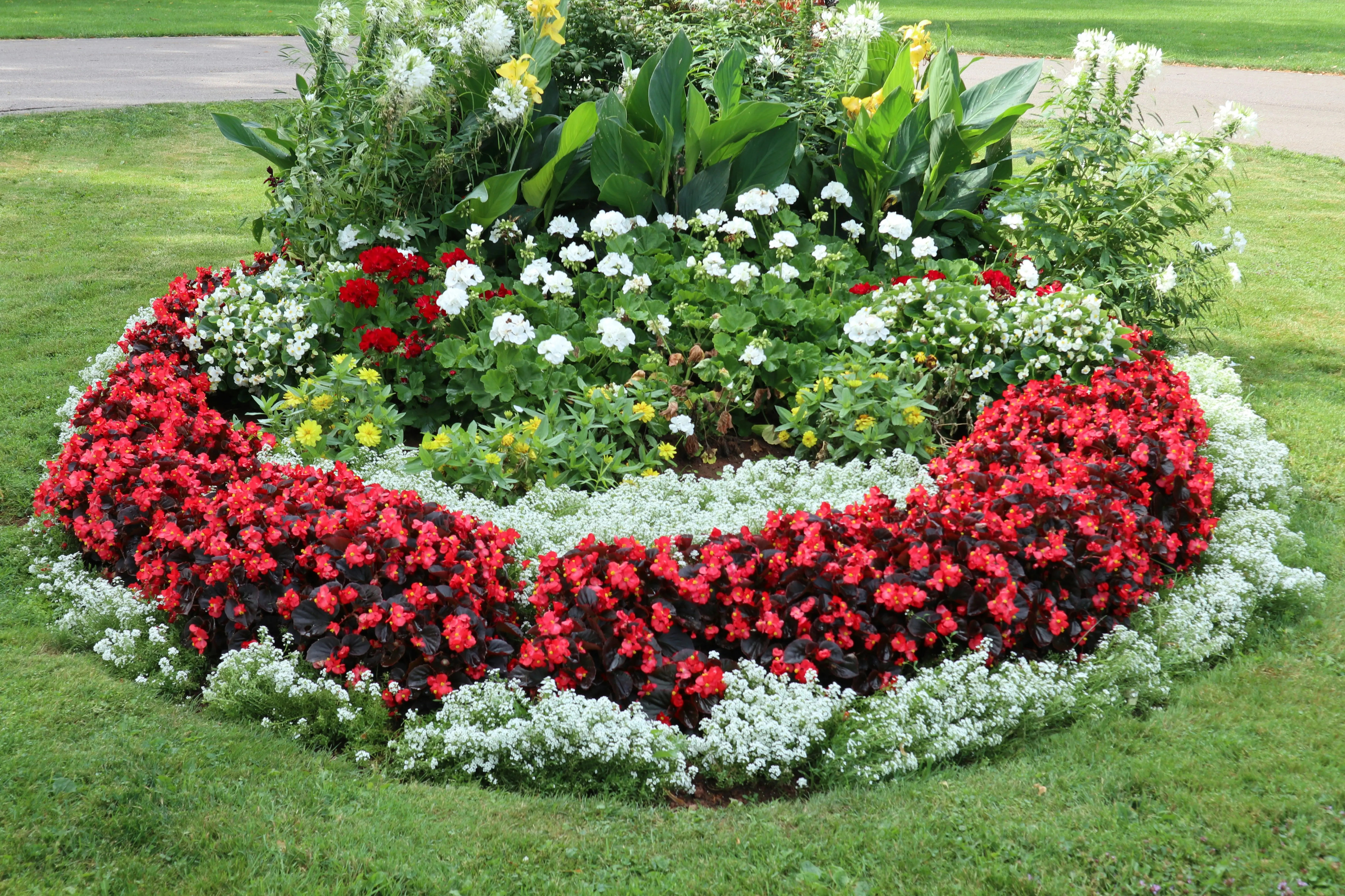 Raised Circular Garden Beds : 5 Amazing Benefits !