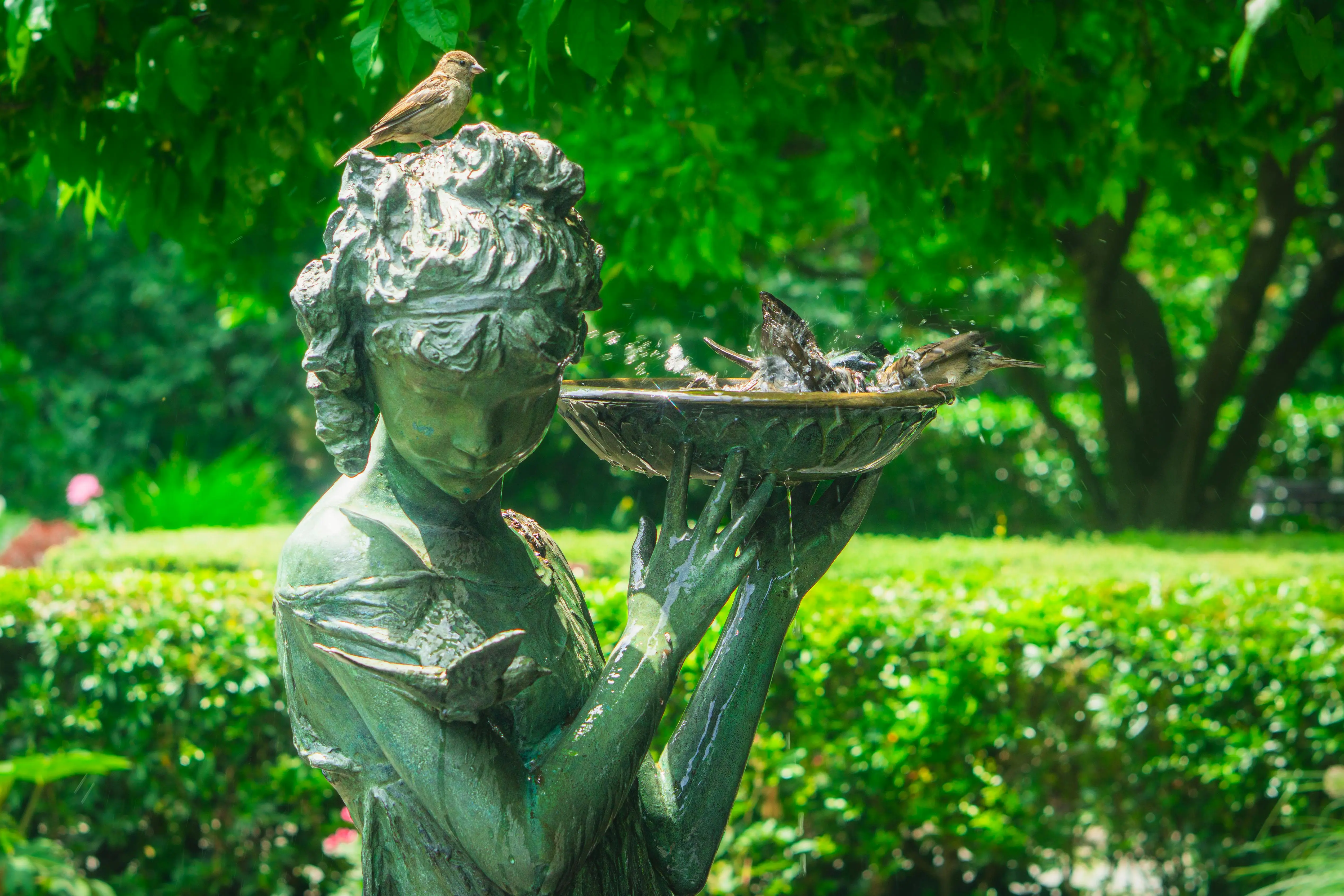 modernist bird bath A serene bronze statue in a lush New York garden with birds enjoying a bath under sunlight.