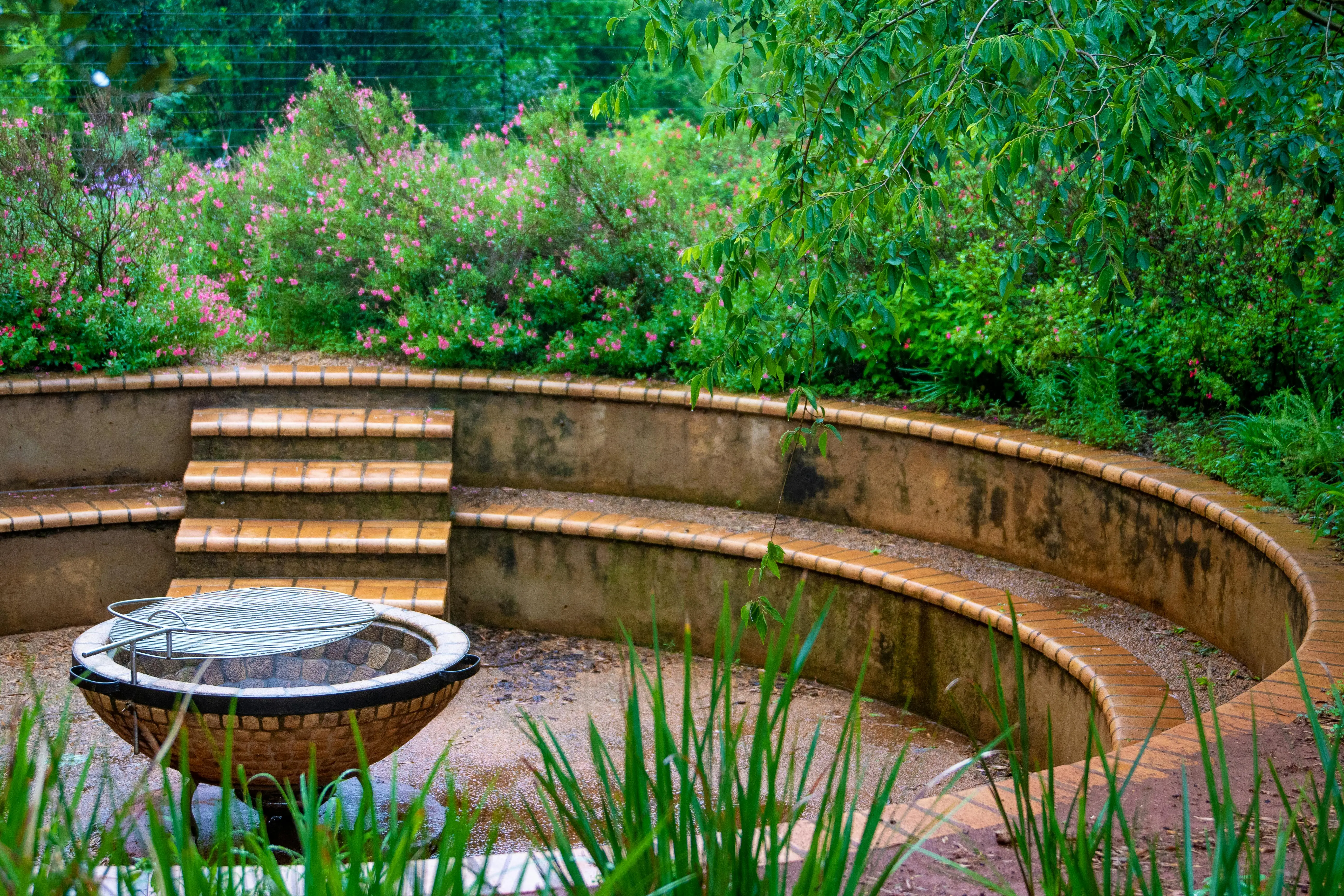 raised circular garden beds Peaceful circular garden with lush greenery and a central water feature surrounded by benches.