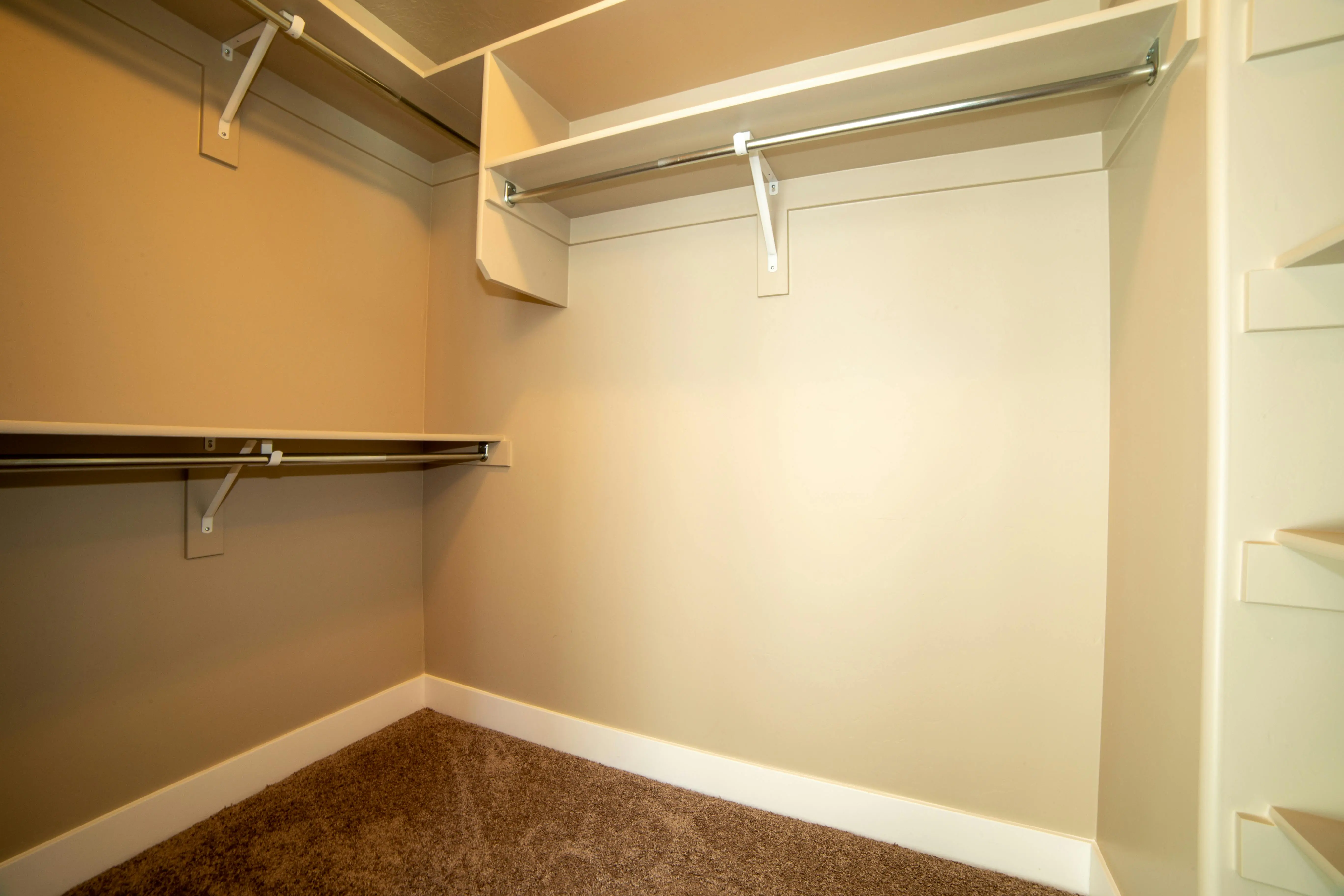 shelf and rod bracket Modern walk-in closet with ample storage and neutral tones.
