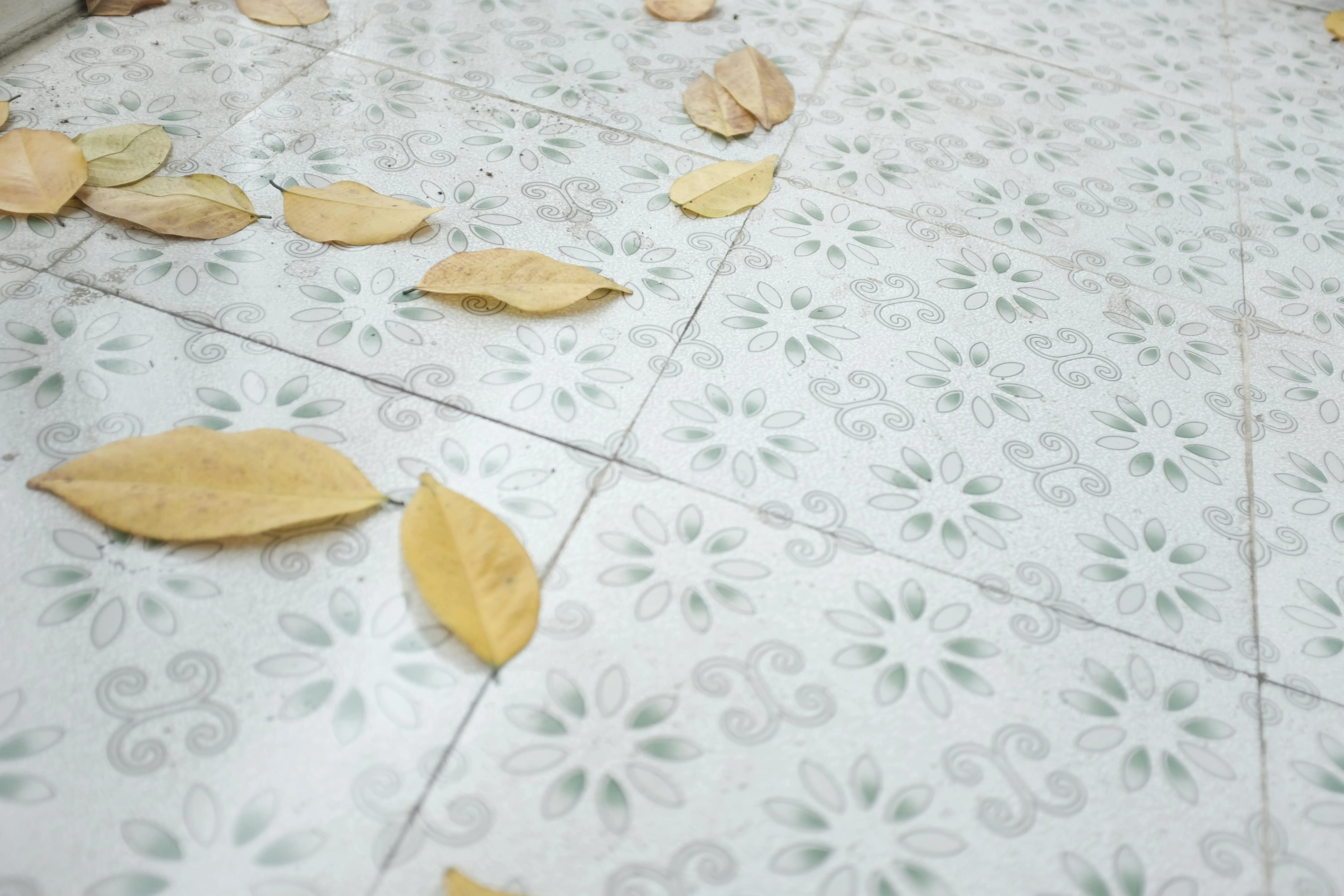 floral tile backsplash Decorative tiles adorned with autumn leaves scattered across the floor.