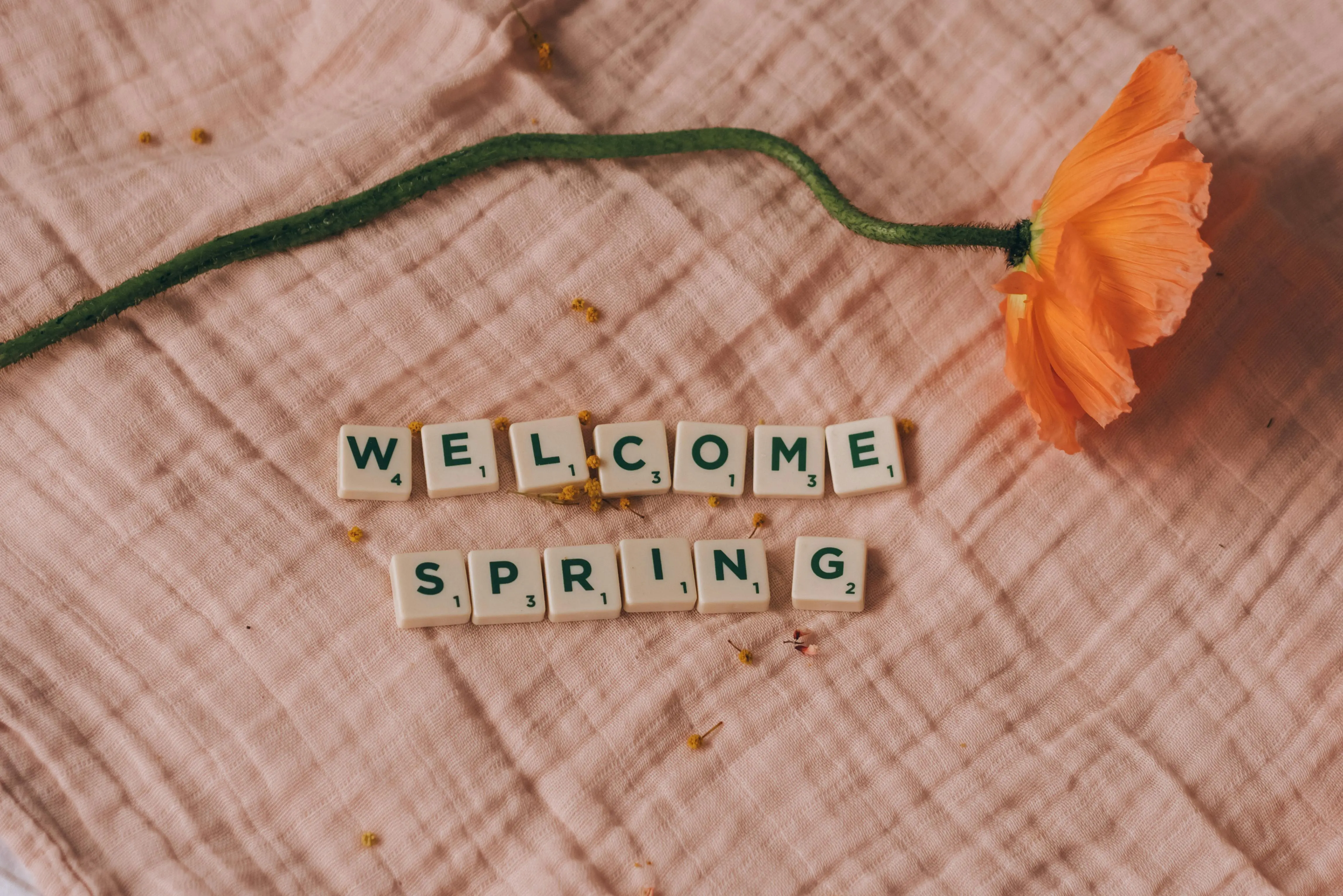 floral tiles Celebrate spring with an orange flower and Scrabble tiles spelling 'Welcome Spring' on fabric.