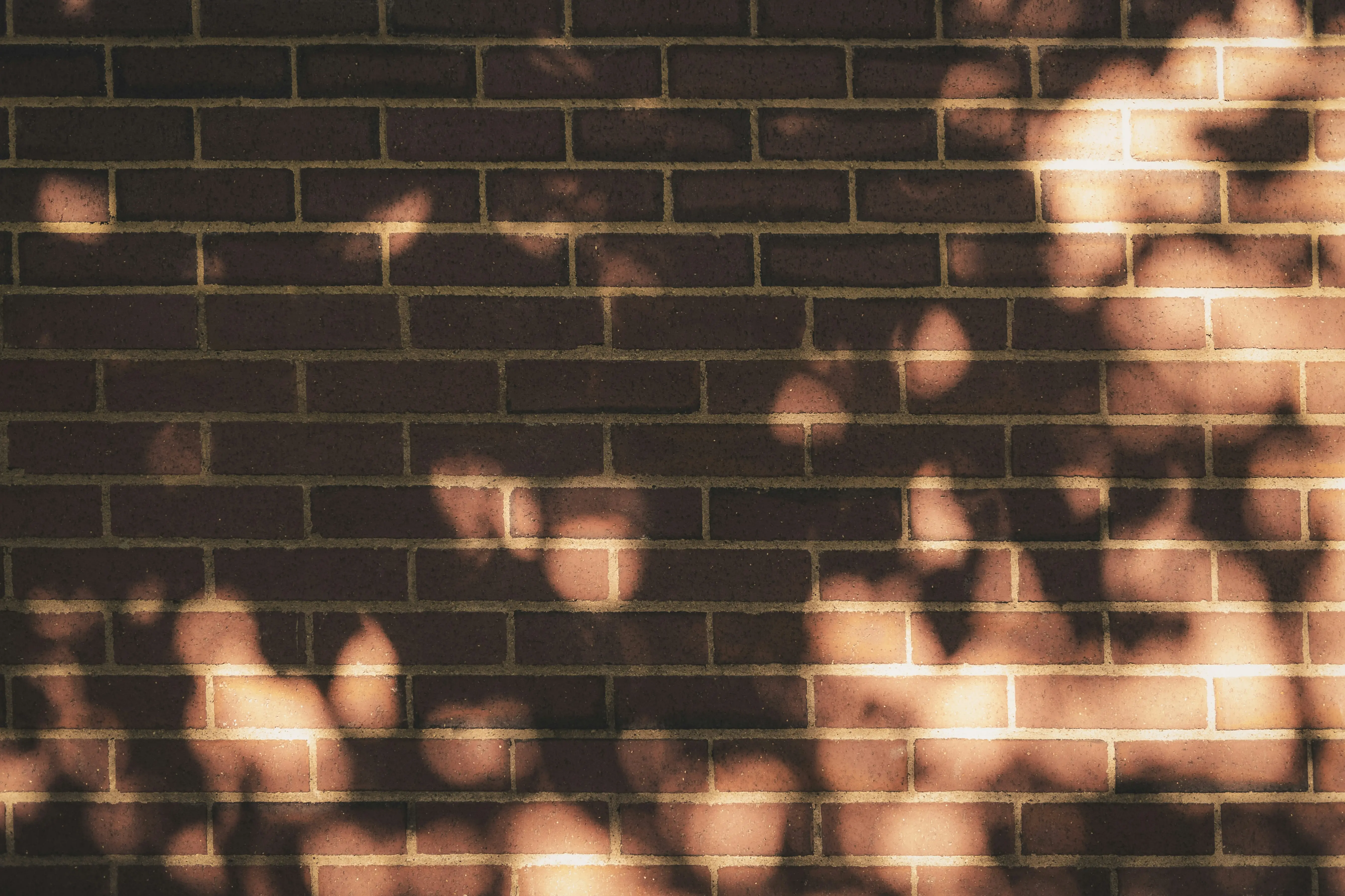 Exterior Wall Sconce Lights : 5 Brilliant Upgrades