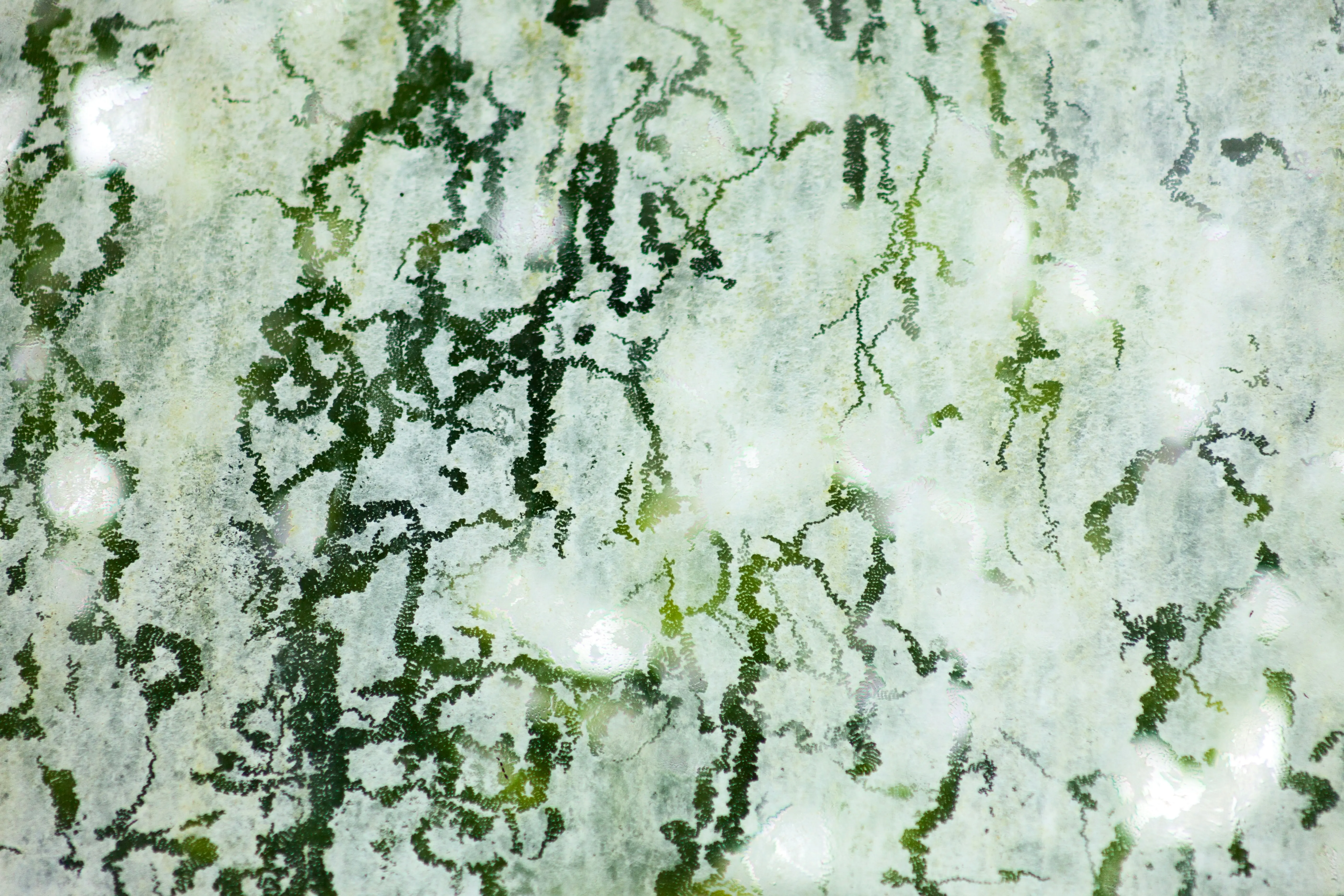 Green Quartz Countertops : 5 Amazing Kitchen Ideas !