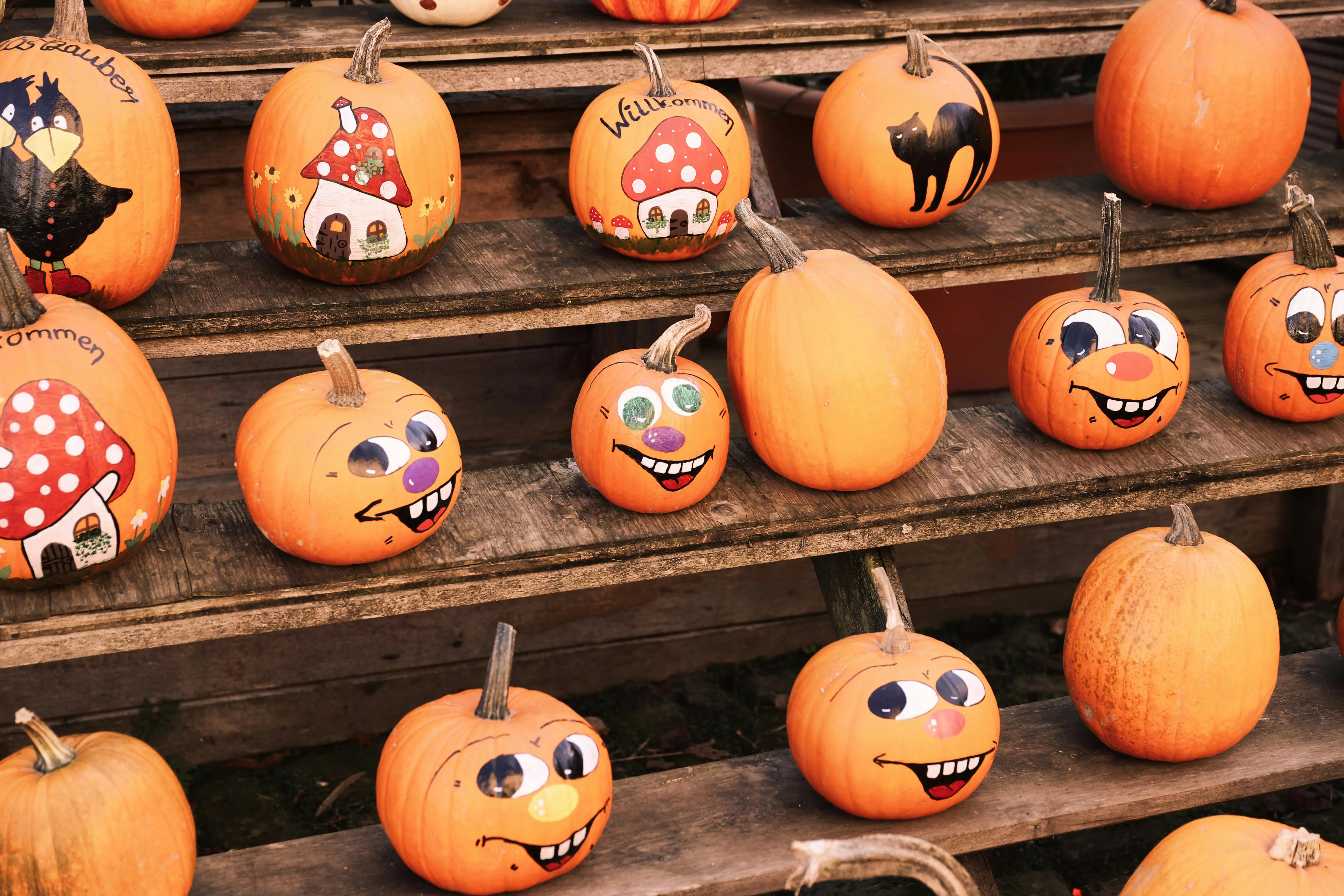 cute pumpkin painting ideas Playful and painted pumpkins with autumnal designs on wooden steps, perfect for Halloween.