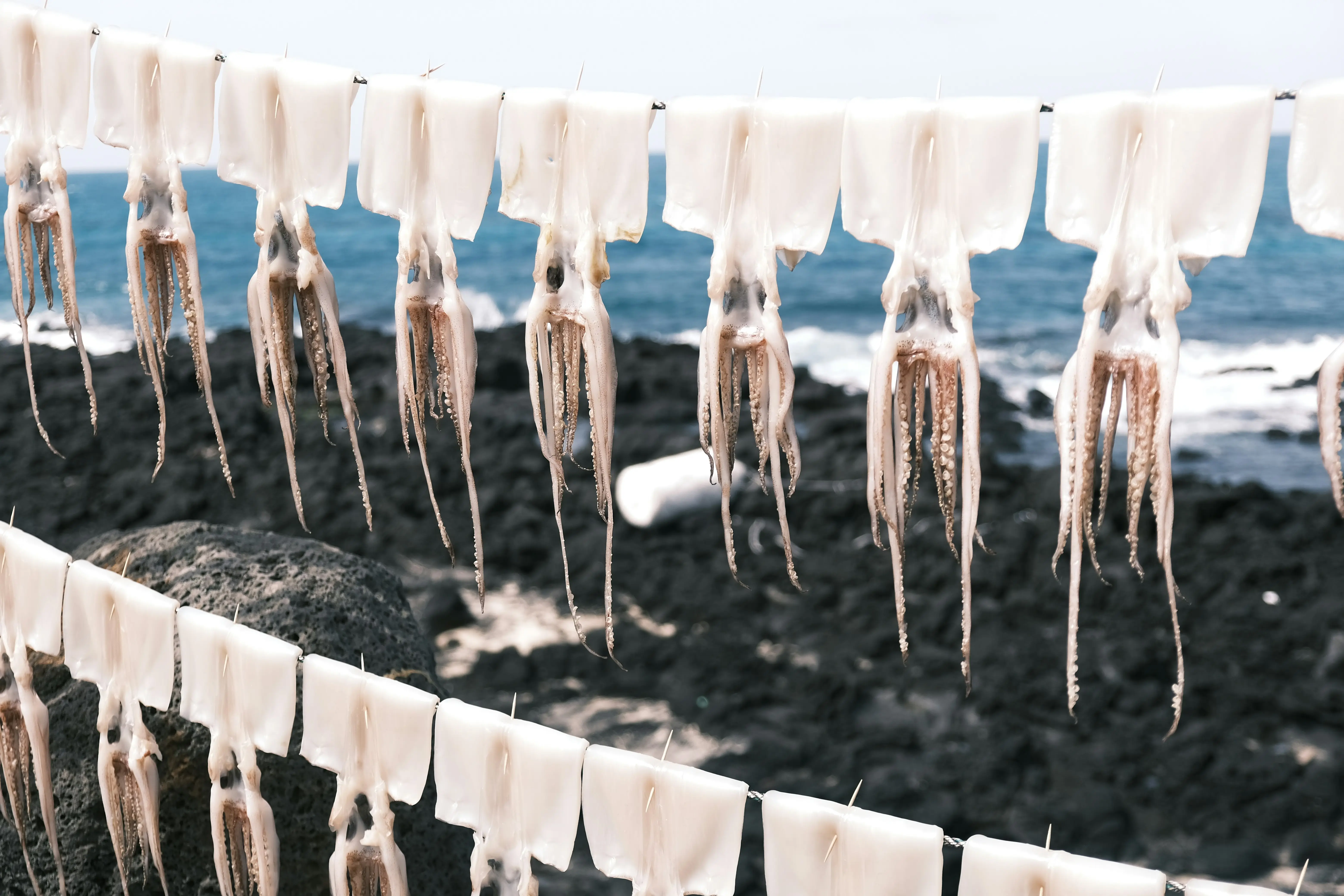 How to Wash 100 Cotton : 5 Easy Steps for Success !