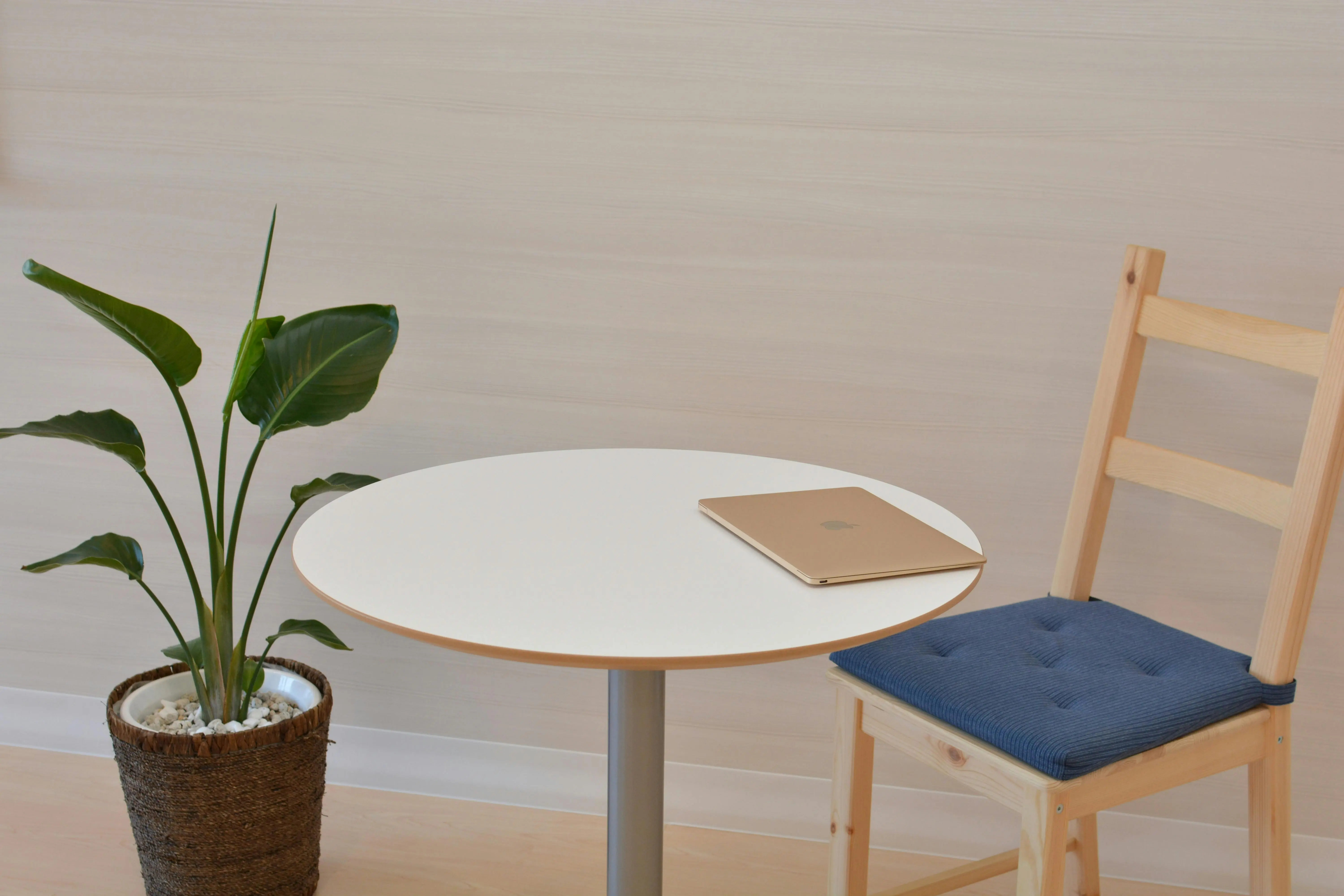 console to dining table A sleek minimalist office space featuring a table with a laptop and a potted indoor plant beside a wooden chair.