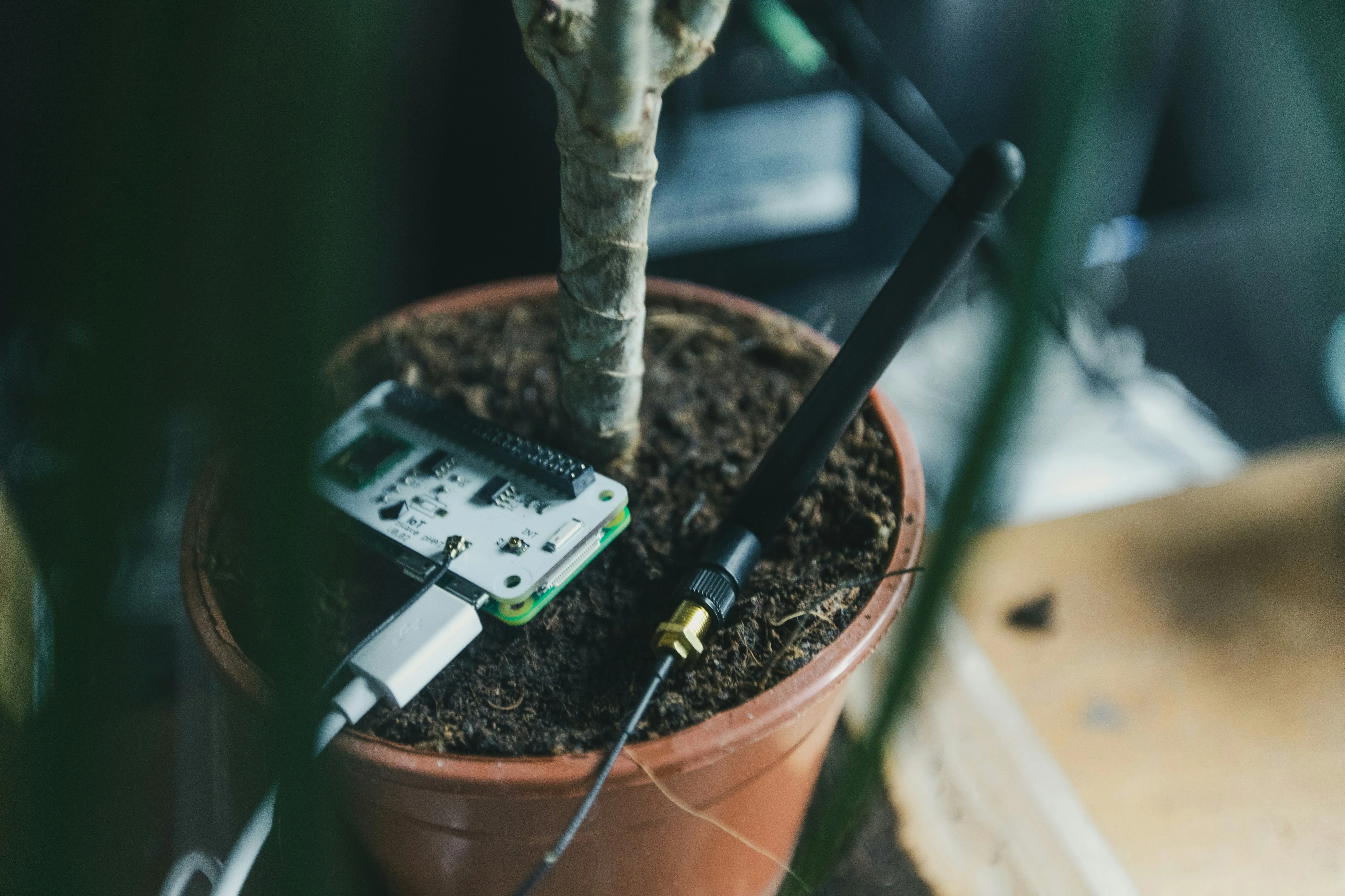 Soil Probe : 5 Amazing Benefits for Your Garden !