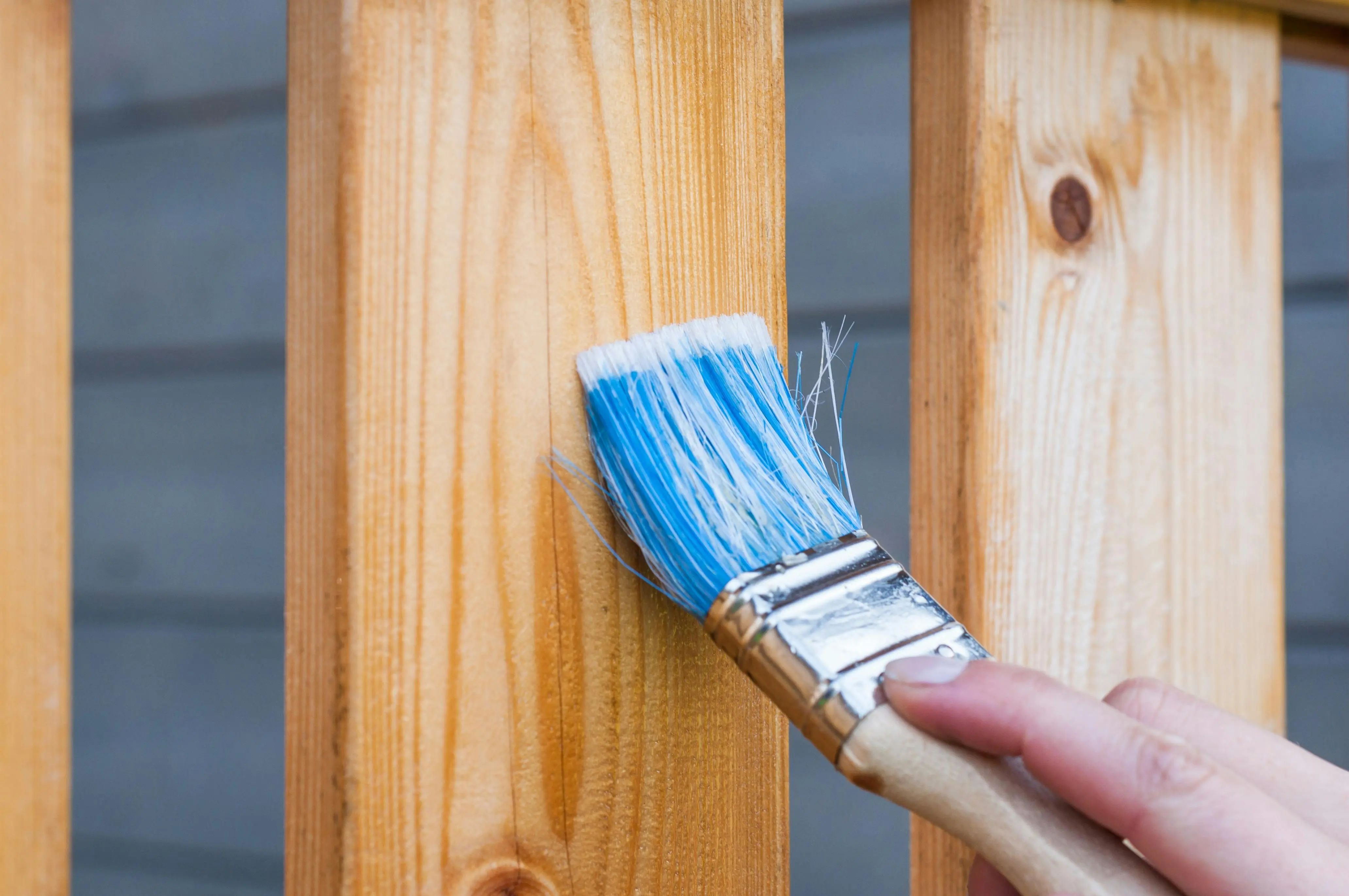 diy wood floor refinishing A hand painting a wooden fence plank with a blue paintbrush outdoors. Perfect for DIY and renovation themes.