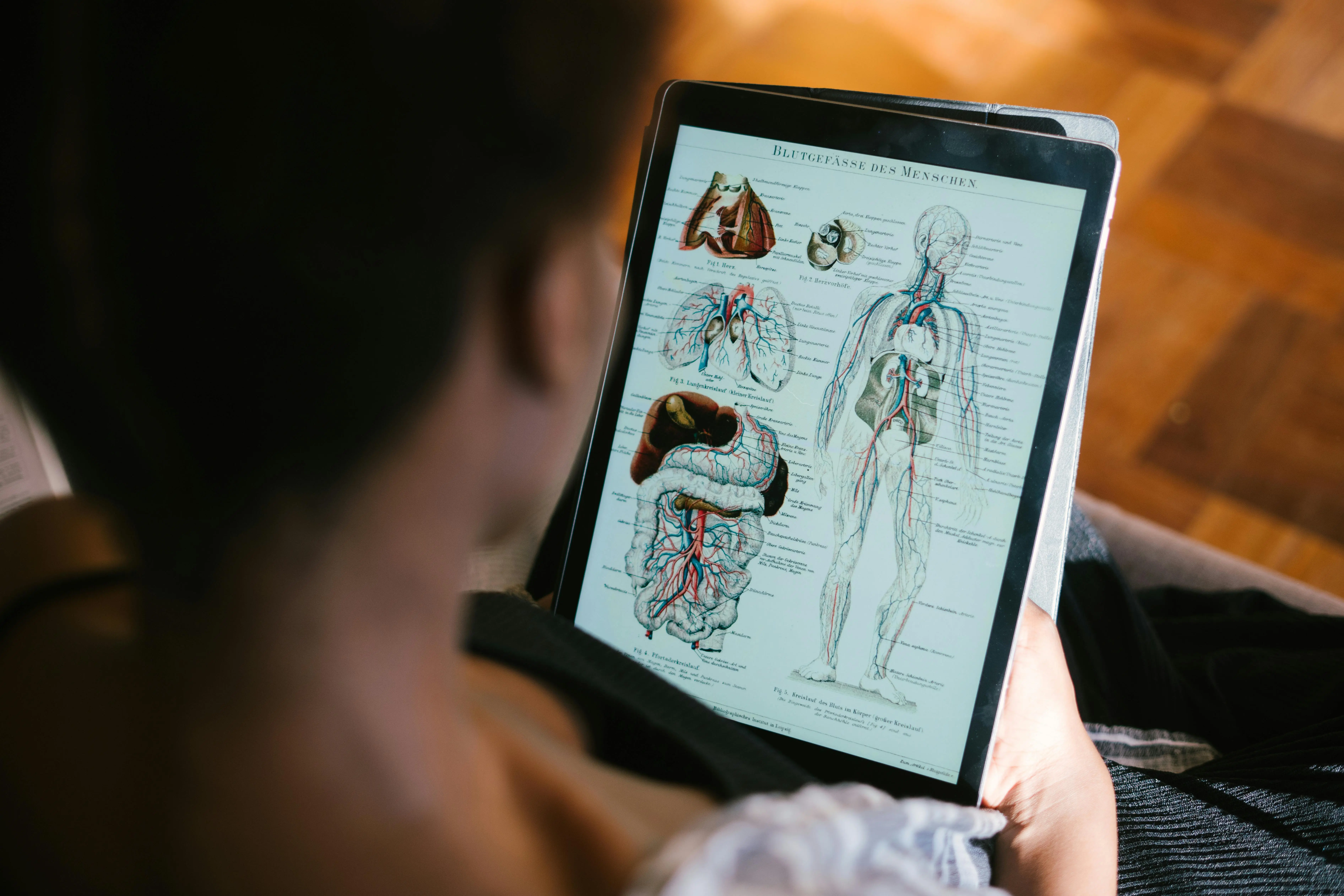 how to get rid of black widows A woman studies anatomy diagrams on a tablet indoors, focusing on educational material.