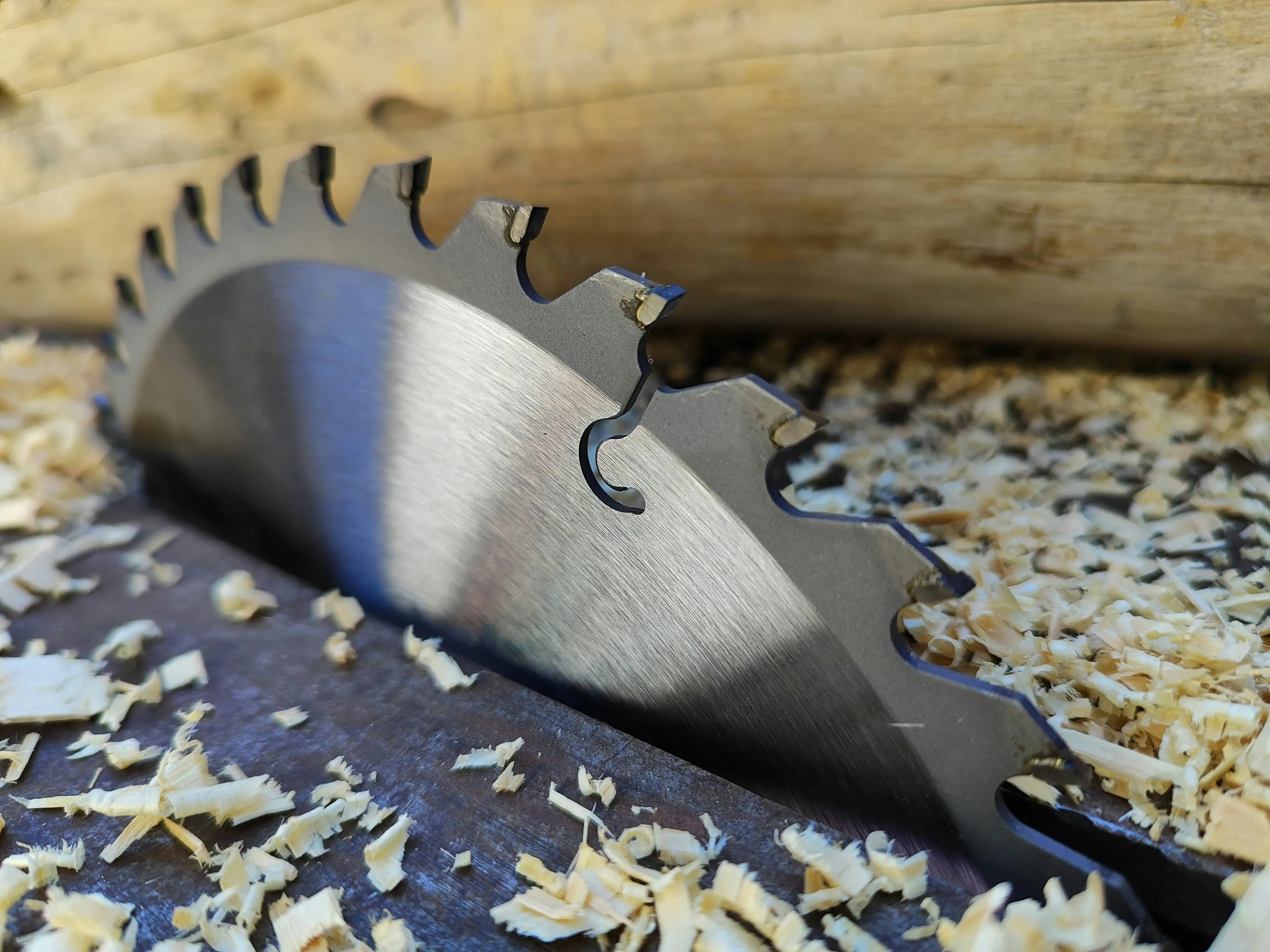 Carpenter With Tools : 7 Must-Have Gear for Success