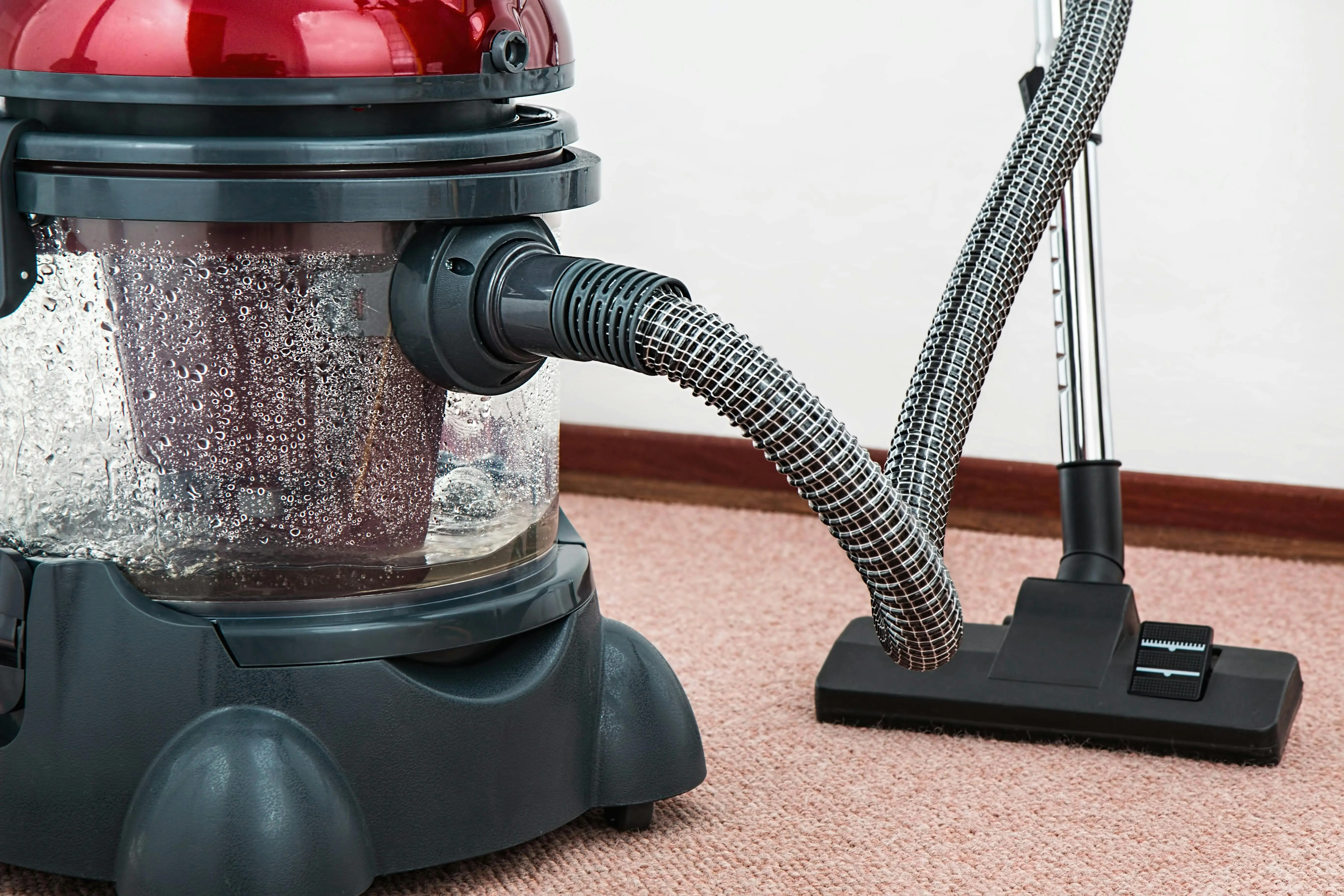 clean steam Close-up of a modern vacuum cleaner with water filtration on carpet floor indoors.
