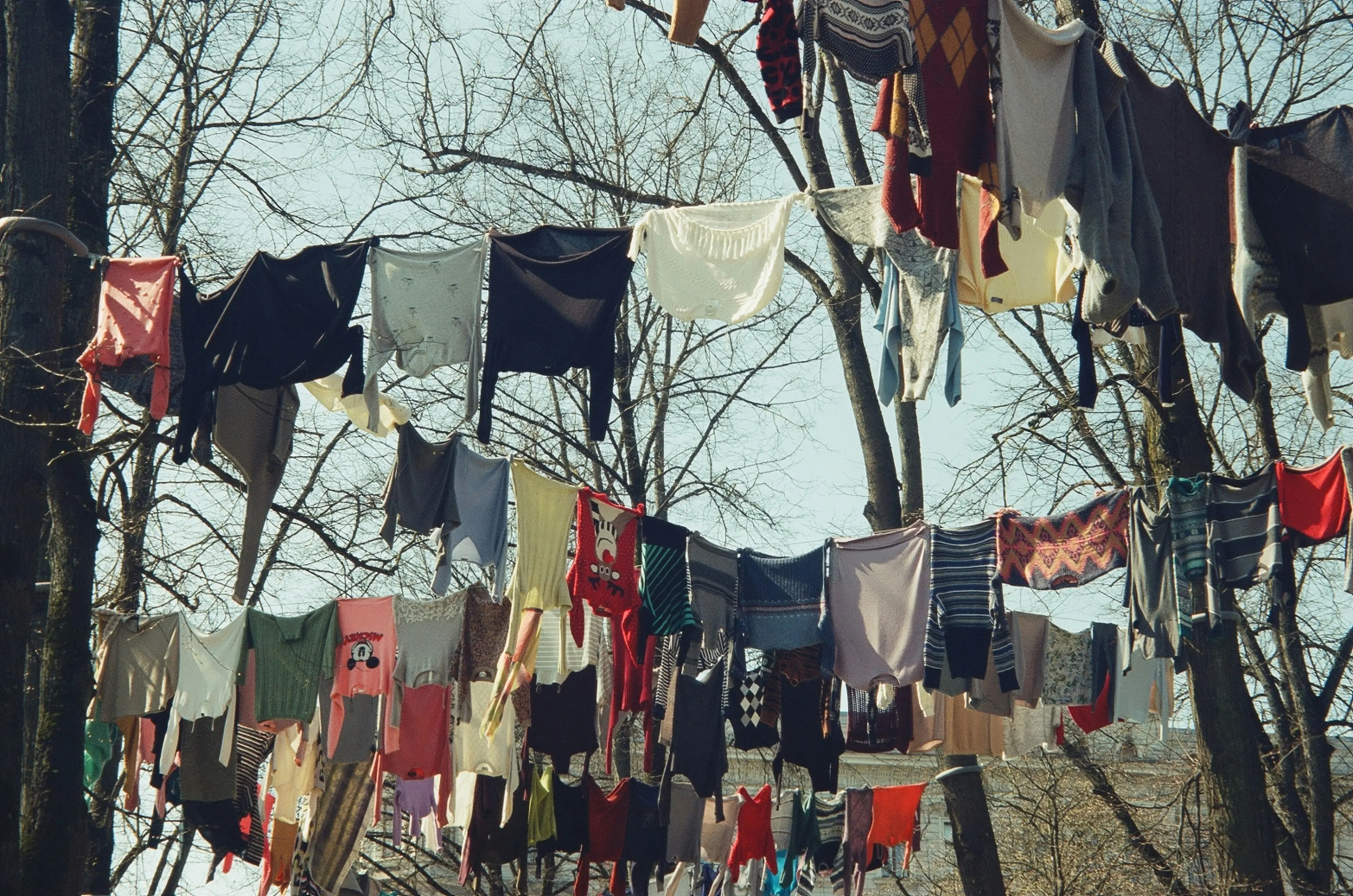 How to Get Tree Sap Out of Clothes : 7 Easy Fixes !