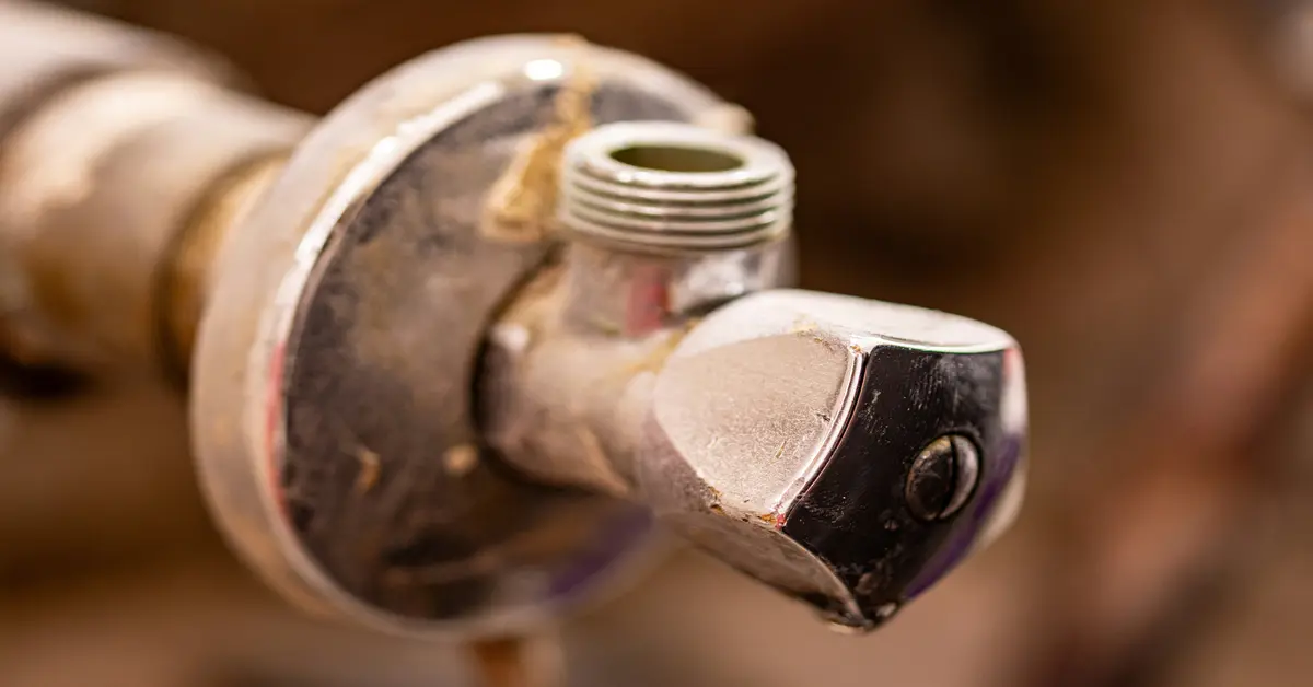 cost to replace shower valve