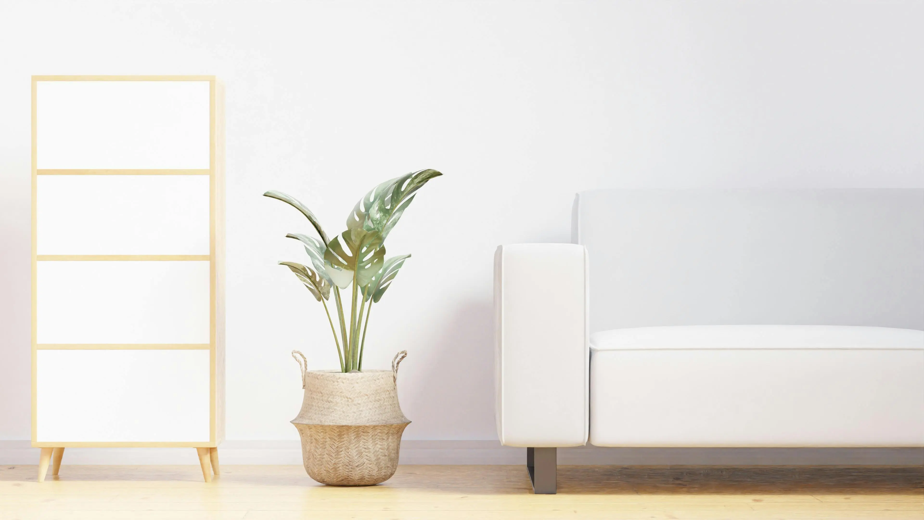 how to clean upholstered furniture A cozy minimalist living room featuring a white sofa, indoor plant, and wooden furniture.