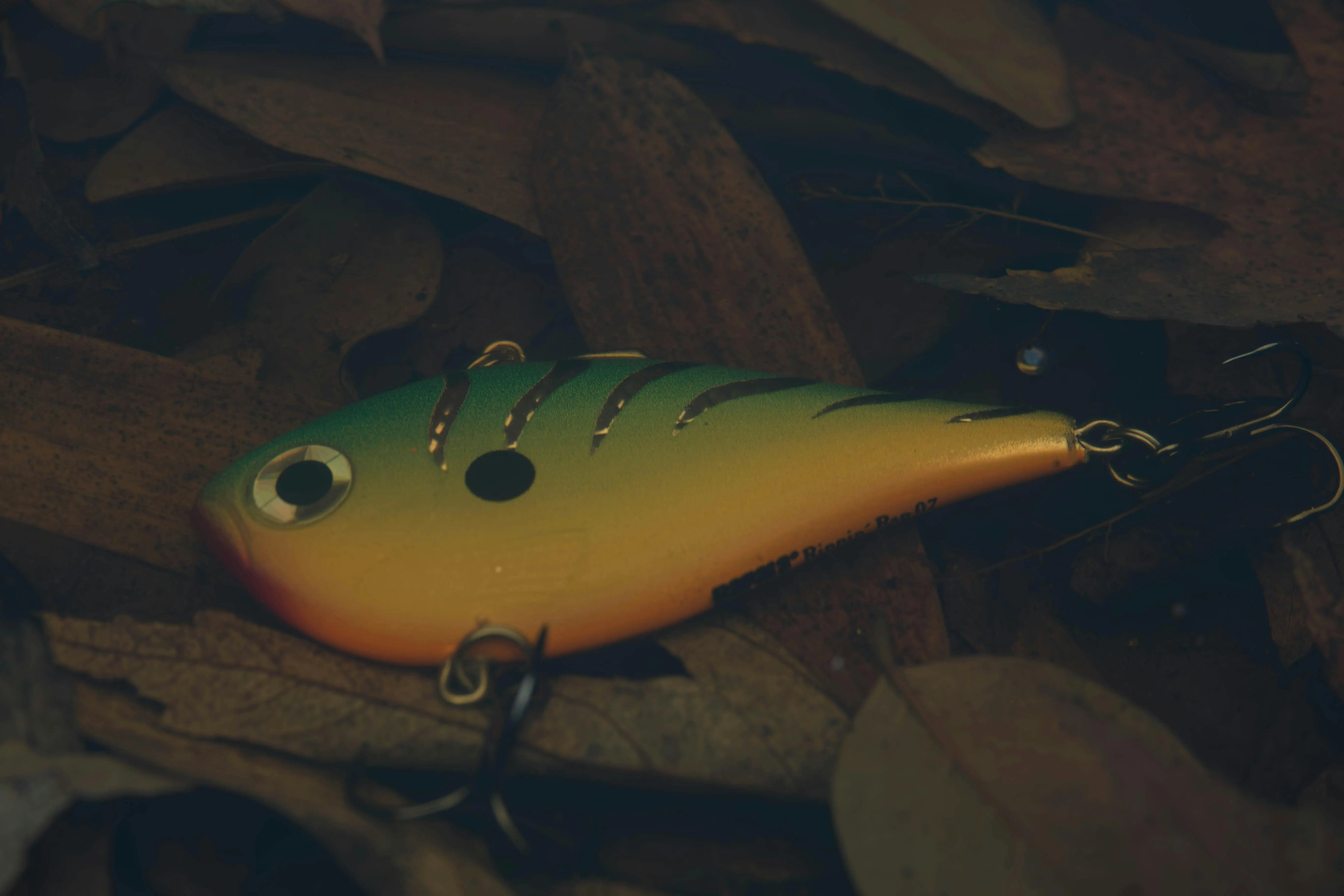 just one bite rat poison Vibrant fishing lure submerged among leaves in water, perfect for angling themes.