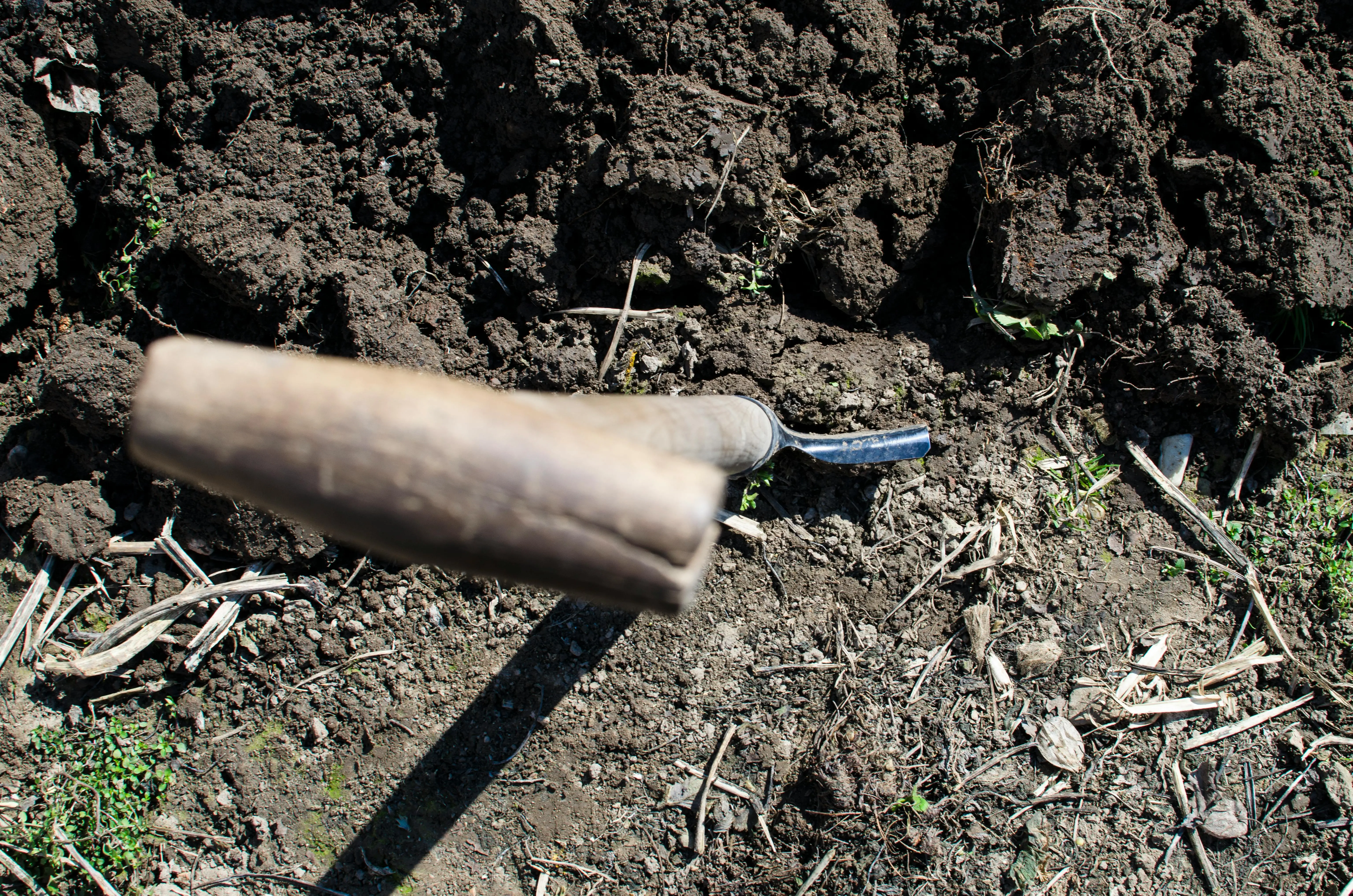 soil probe A shovel in freshly turned soil, ideal for gardening or farming themes.