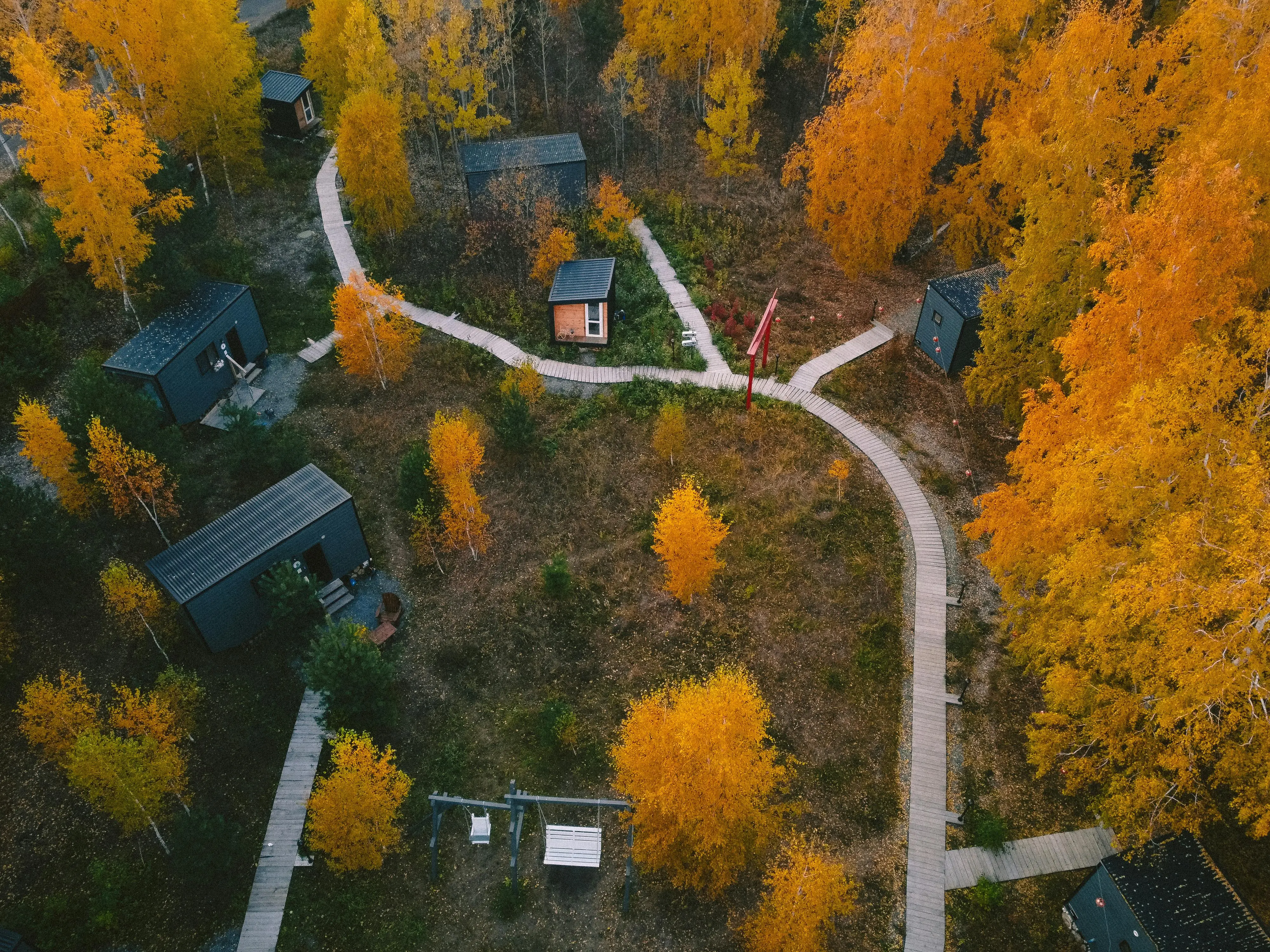 tiny house movement california Aerial shot of modern cabins surrounded by vibrant autumn trees.