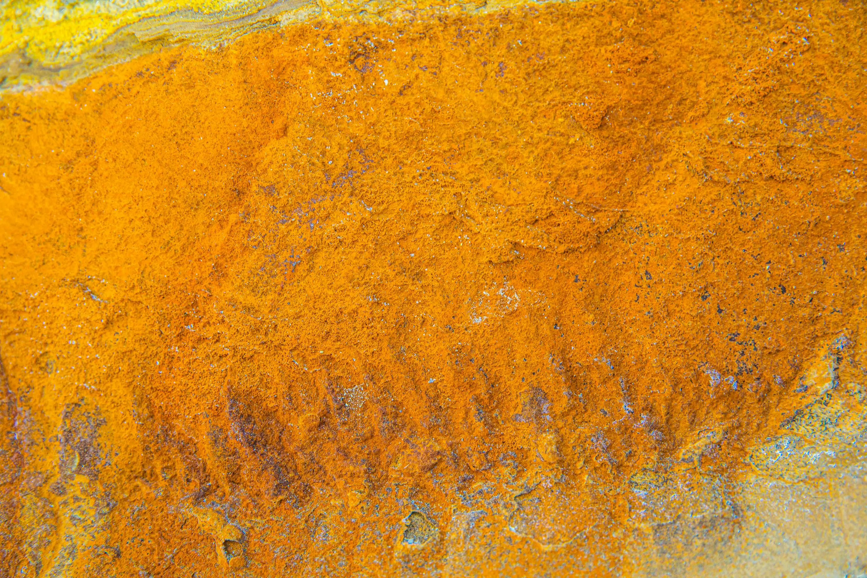 how to get urine smell out of clothes Close-up of a vibrant orange rusty texture on a metal surface, displaying interesting patterns and colors.