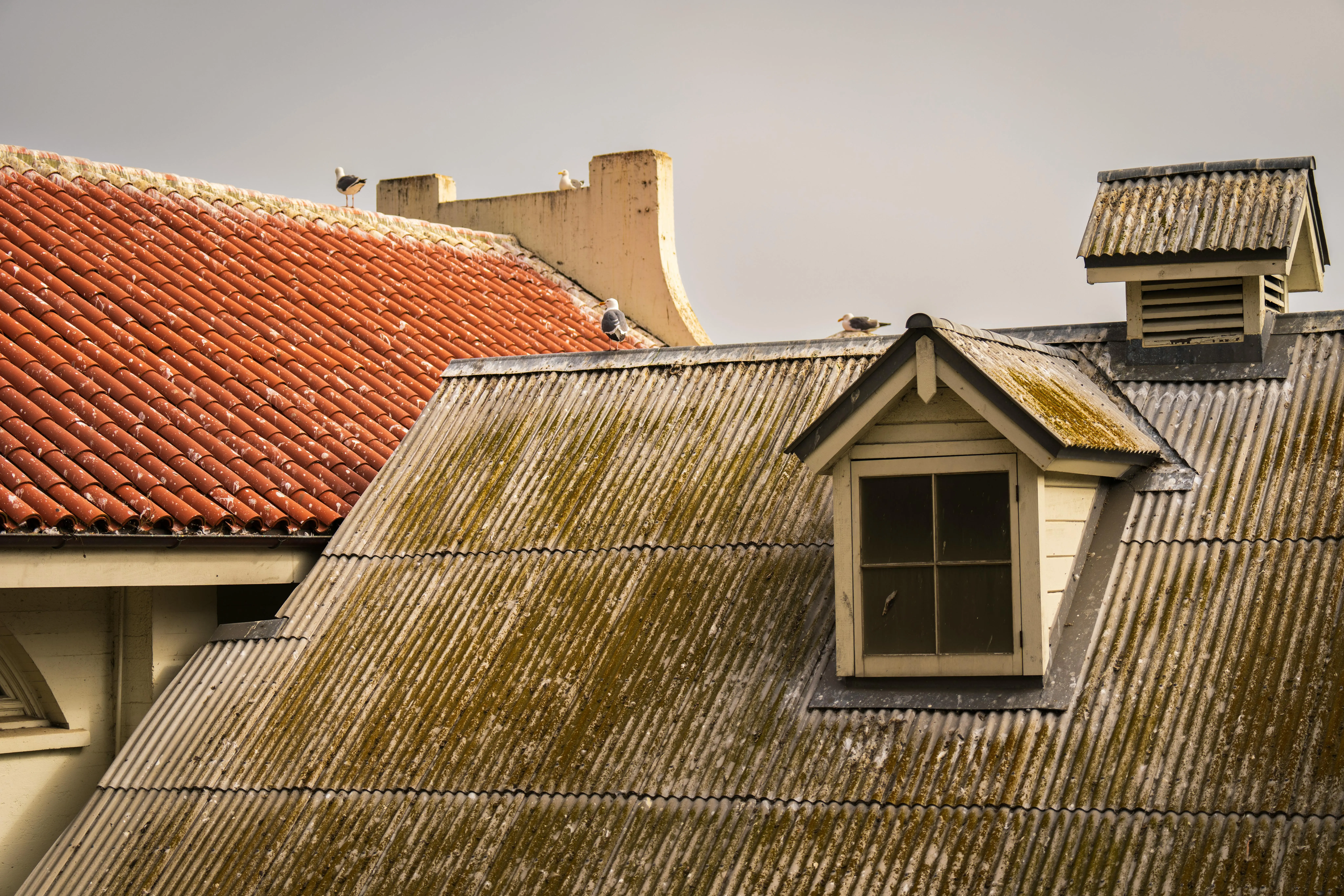 metal roof sealant Rustic rooftops with corrugated metal and red tiles feature perched birds under an overcast sky.