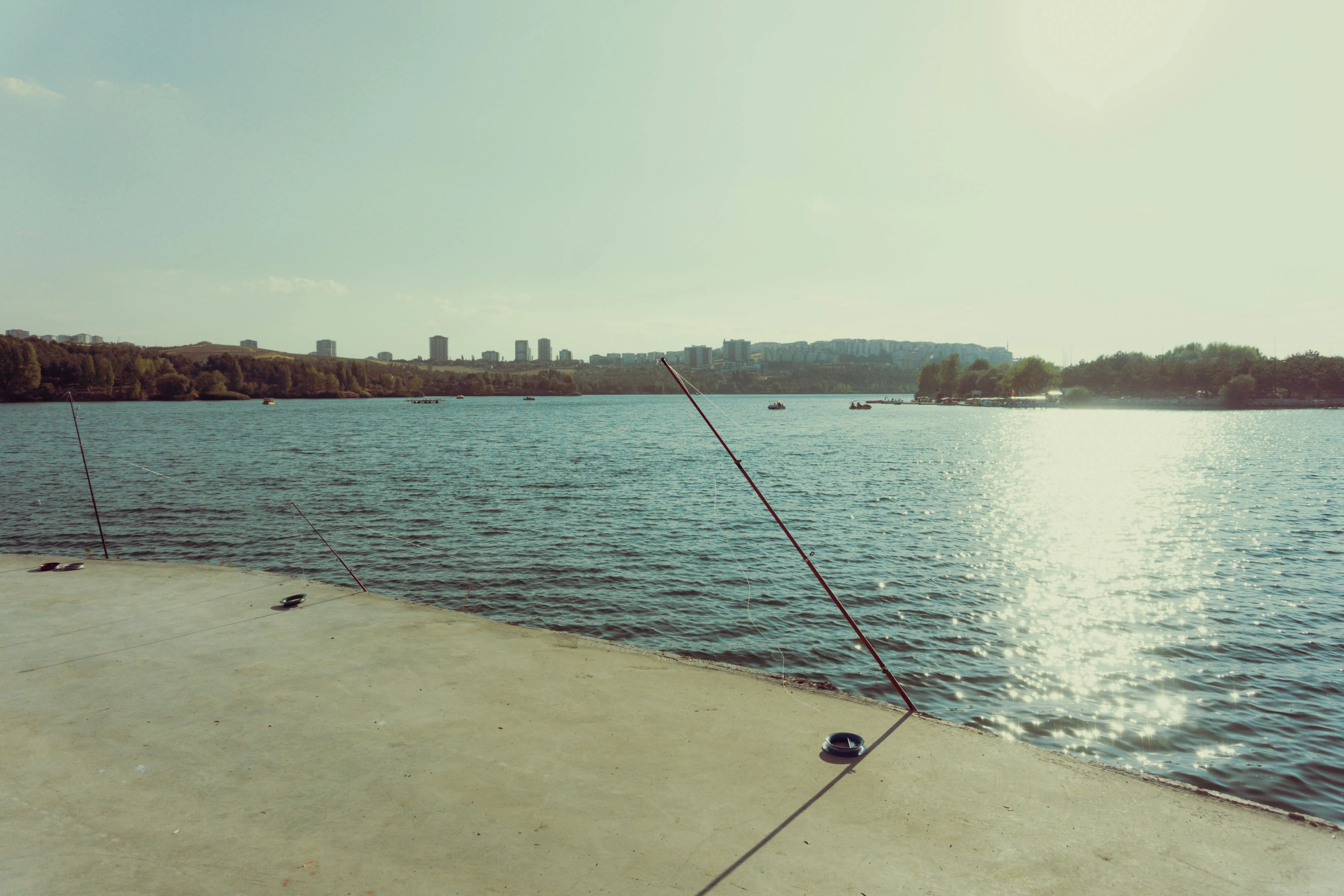 mouse bait stations Peaceful lakeside view with fishing rods, urban skyline, and shimmering water at sunset.