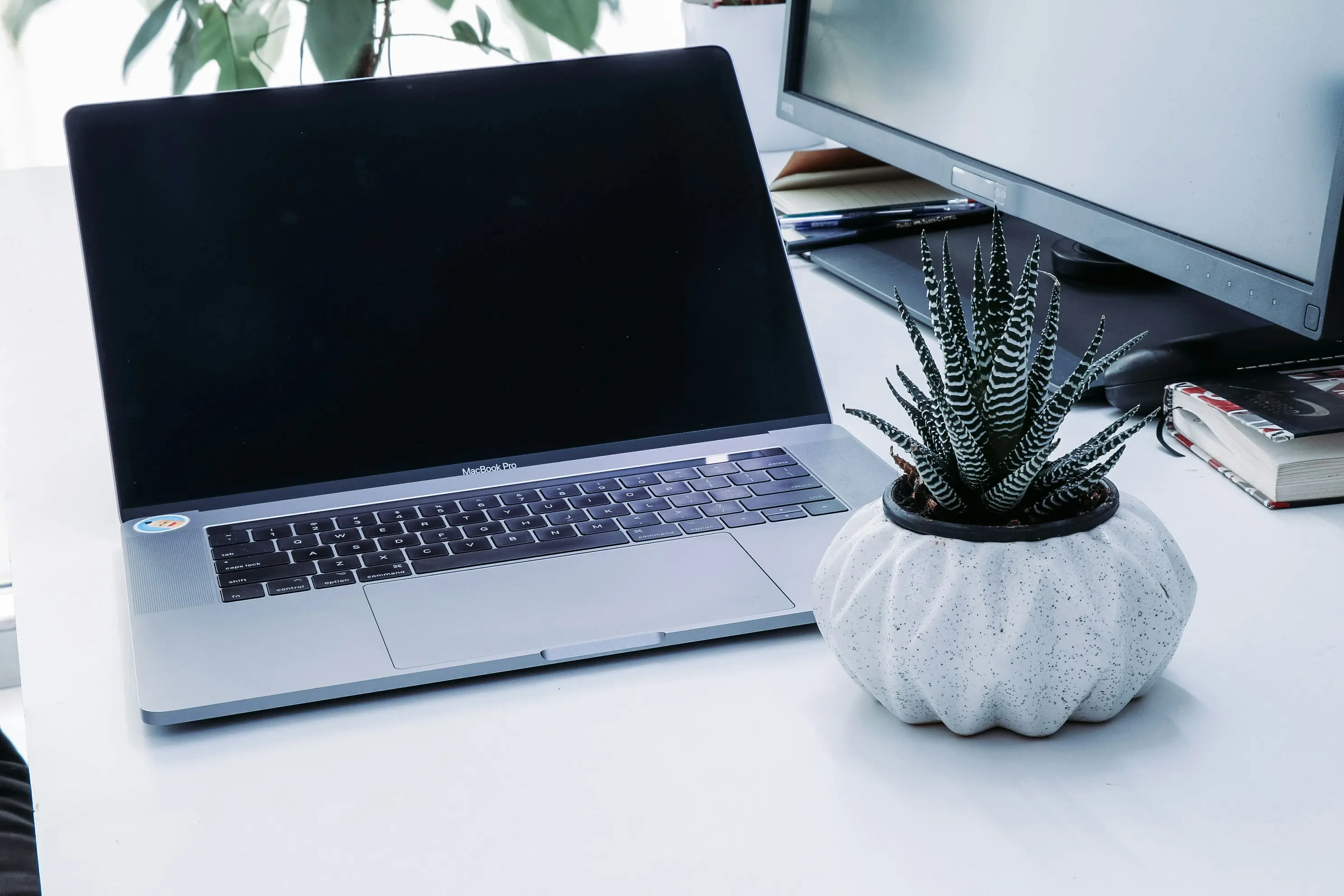 Recommended Office Plants : Top 7 for a Thriving Workspace