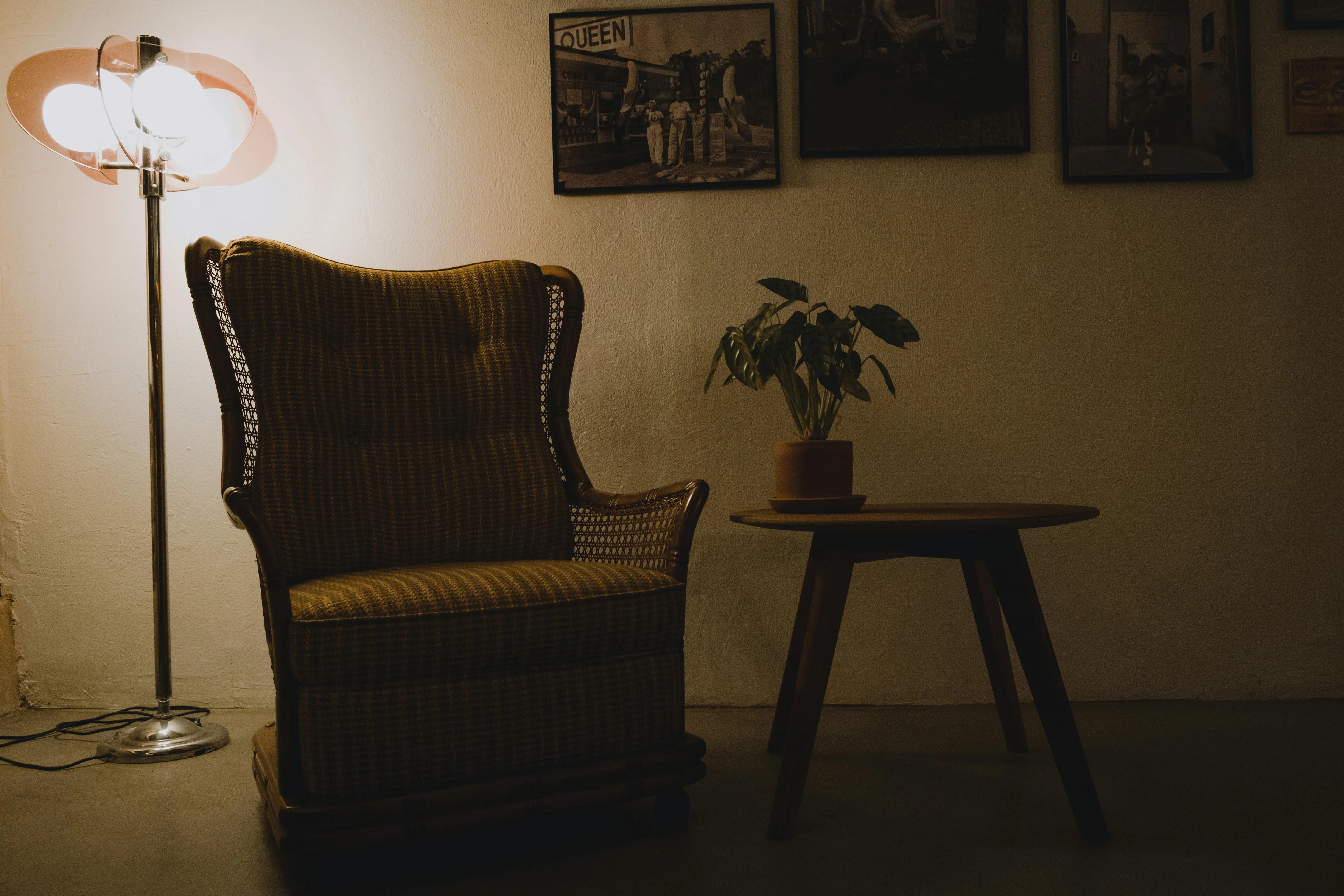low light indoor trees Vintage armchair in a serene setting with gentle lighting and a side table adorned with a plant.