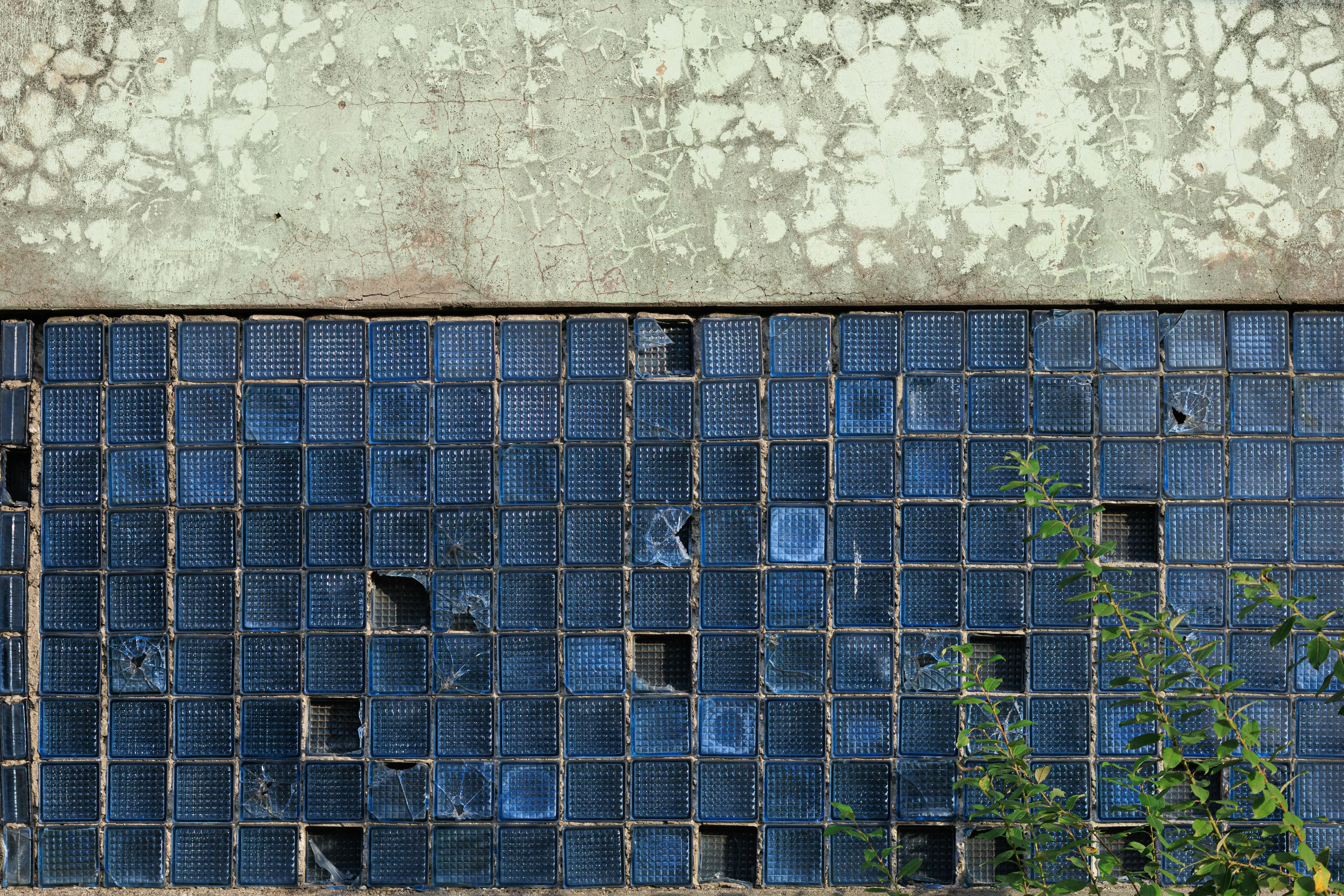 glass on tile Wall with cracked blue square glass tiles and greenery growing nearby.