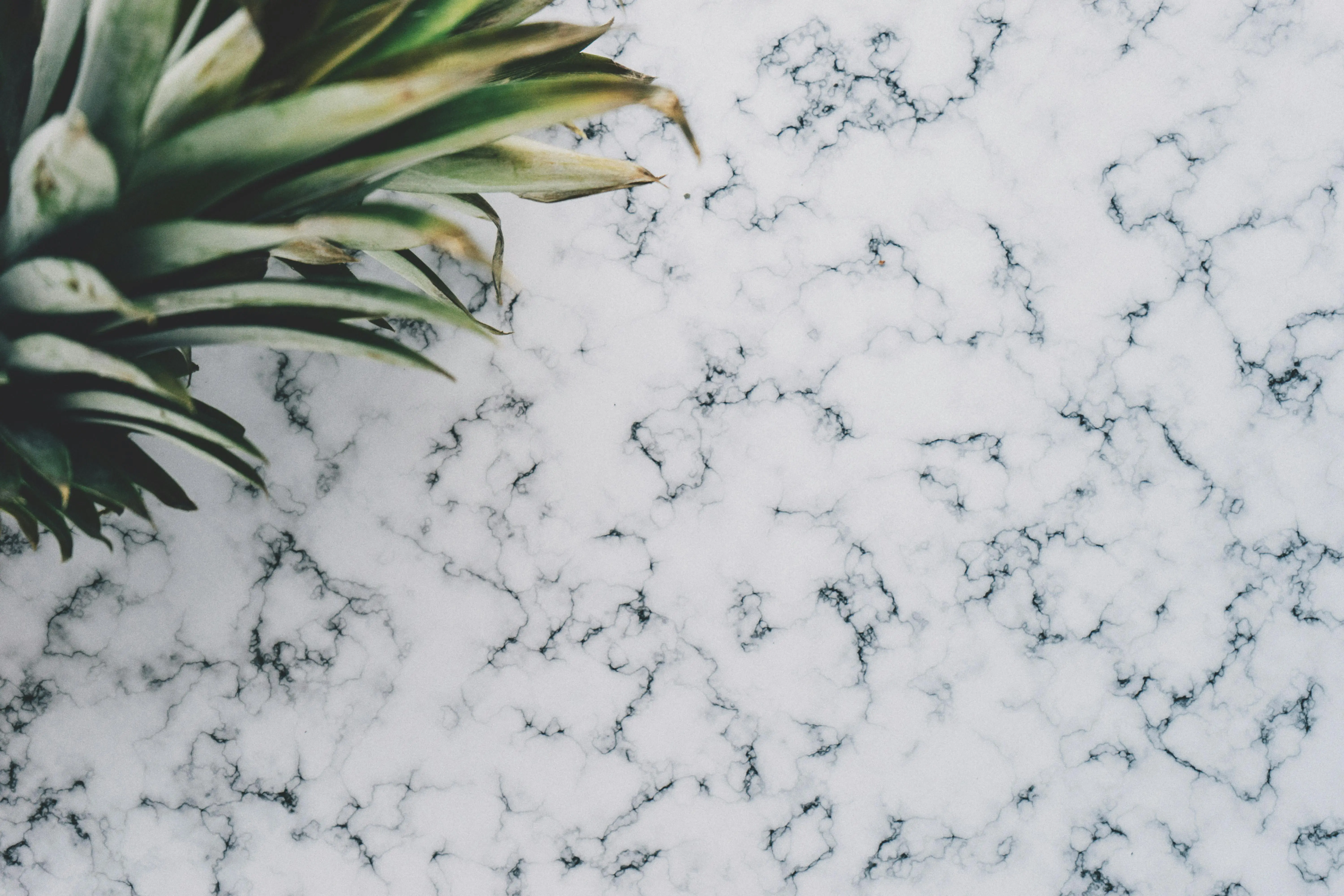 green marble Close-up of a pineapple crown on a textured white marble surface, showcasing natural beauty.