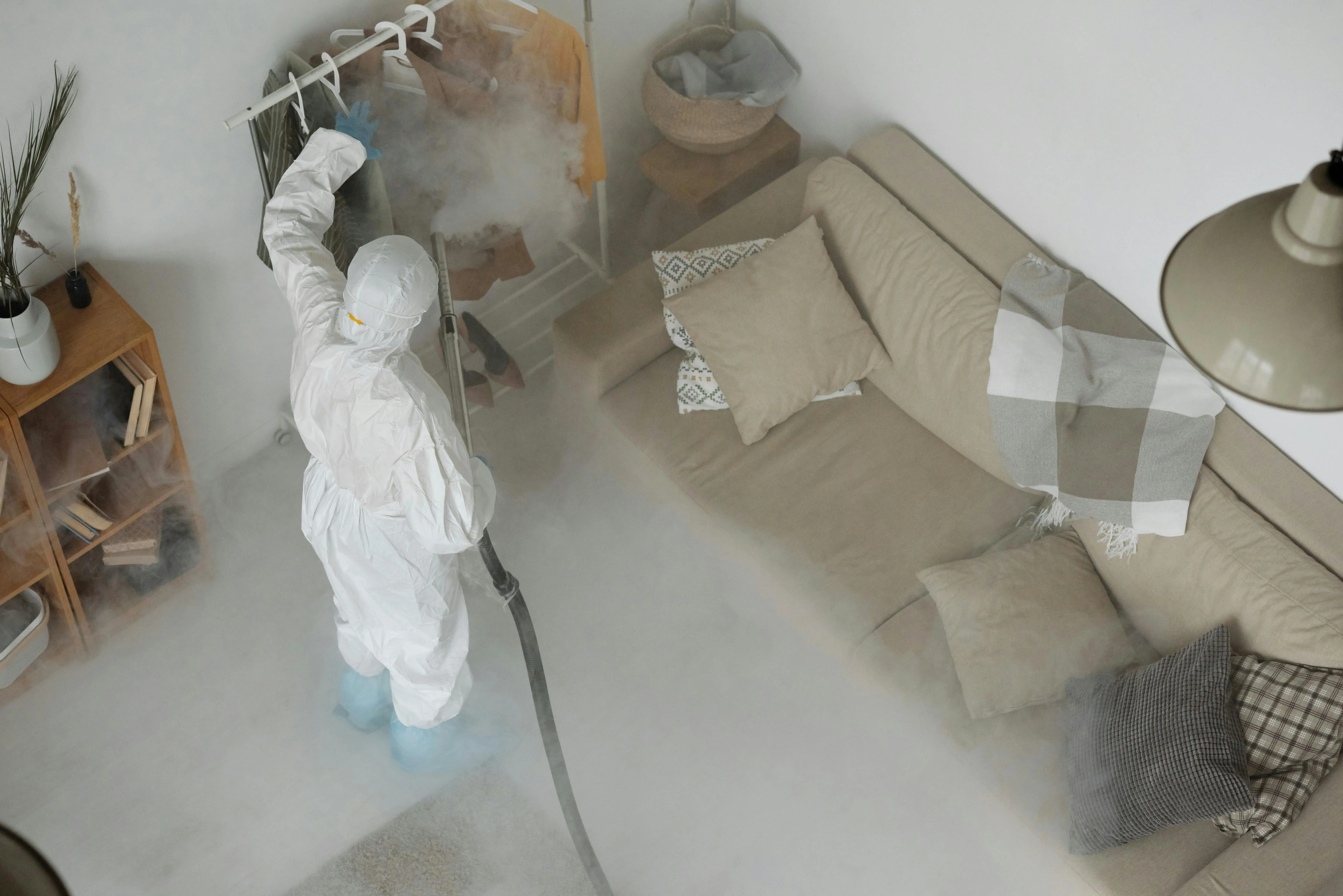 little black beetles in house Person in protective gear sanitizing home interior for COVID-19 safety.