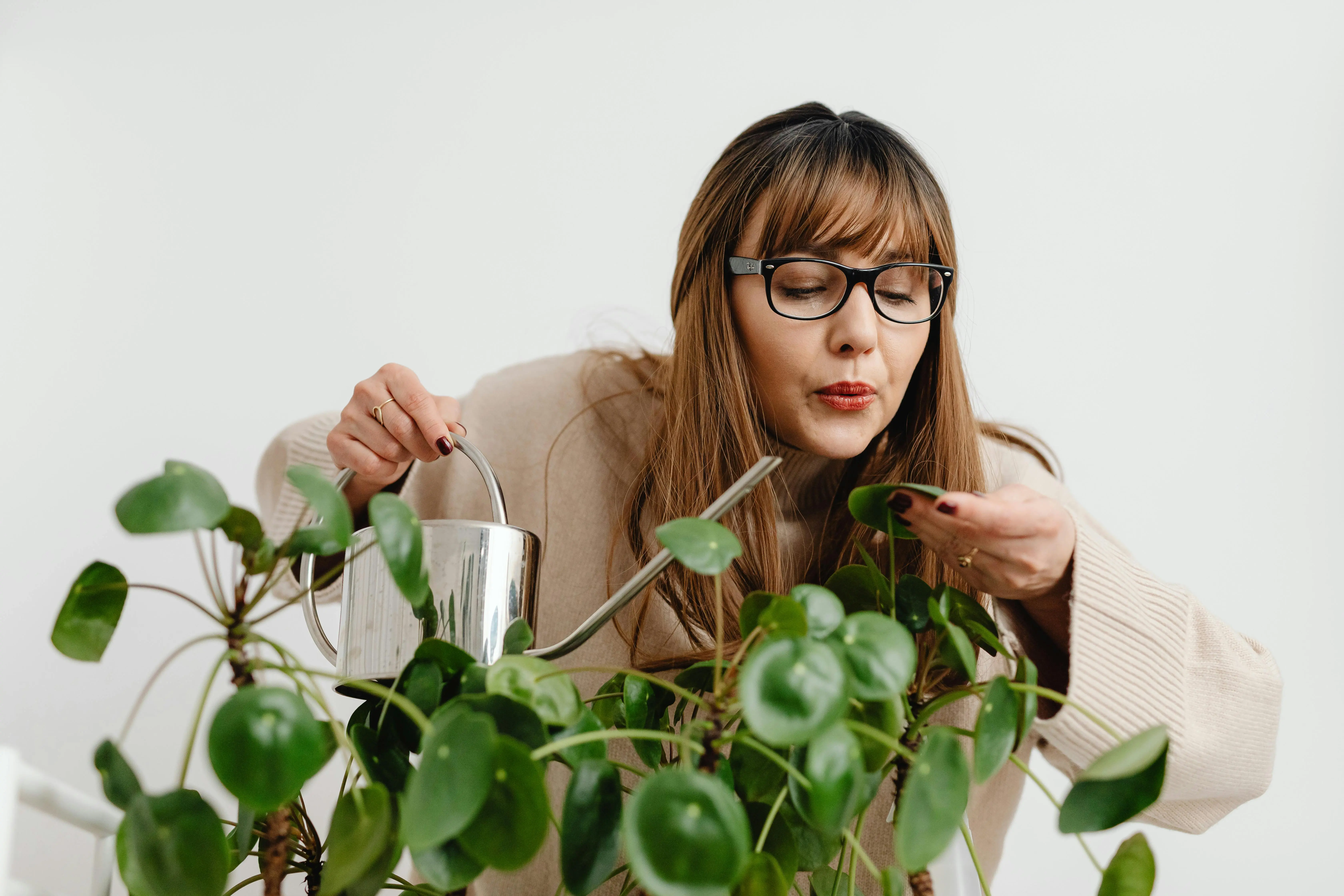 plants that don't require sunlight A woman carefully waters her Pilea plant indoors using a metal watering can.