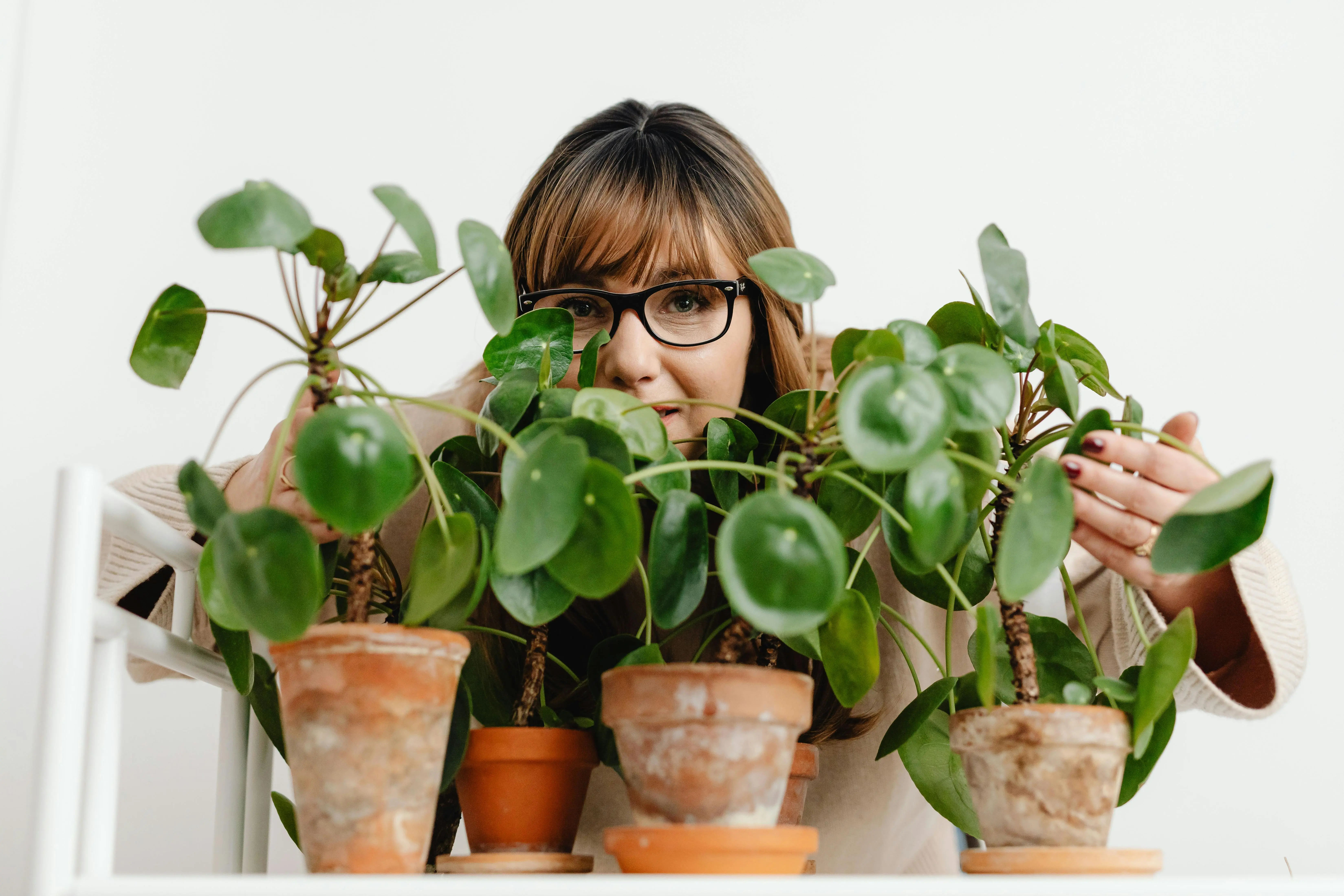 indoor plants minimal light A woman with glasses enjoying her potted houseplants indoors, showcasing a love for gardening.