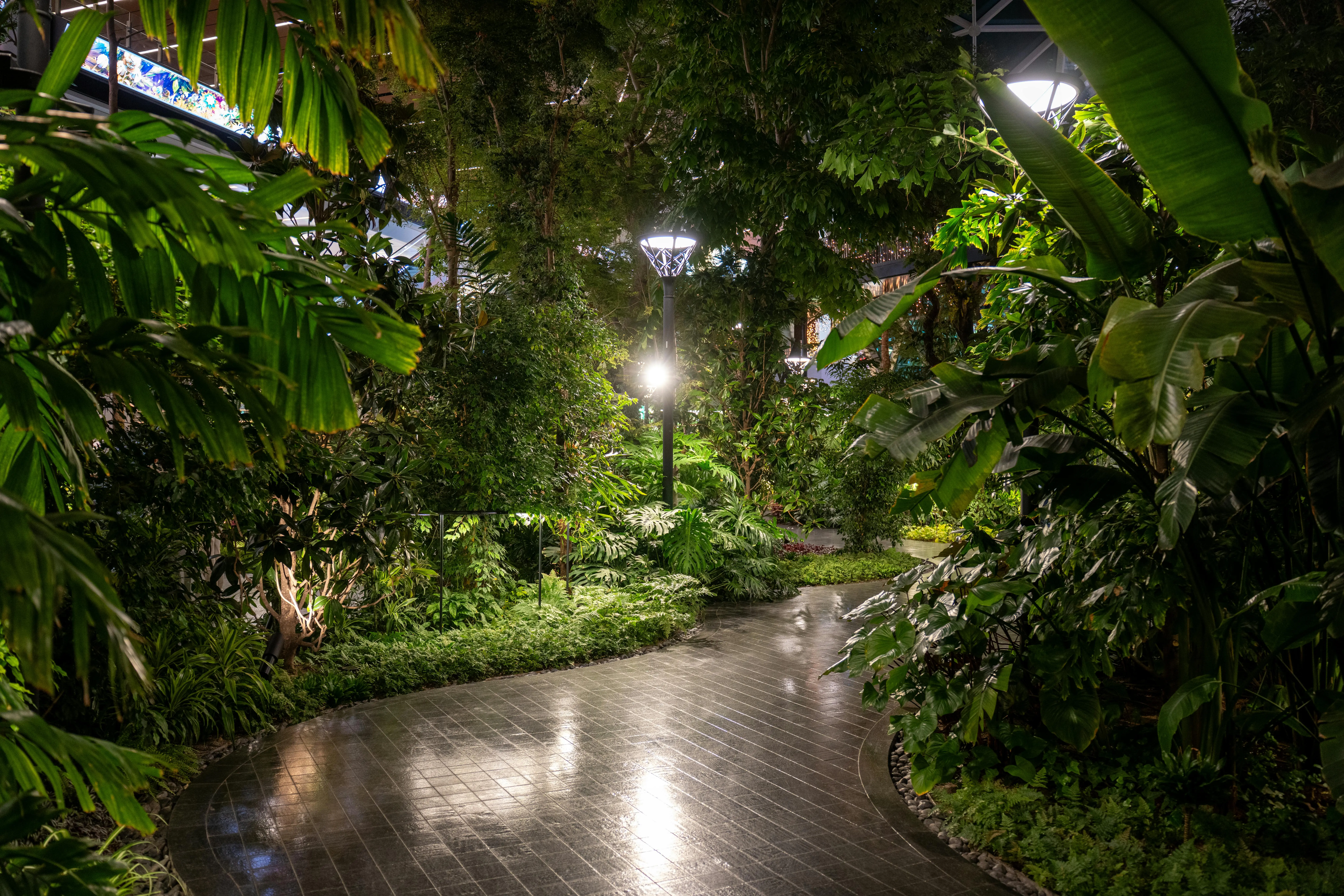 pathway lights Illuminated garden pathway surrounded by lush greenery in Doha, Qatar at night.
