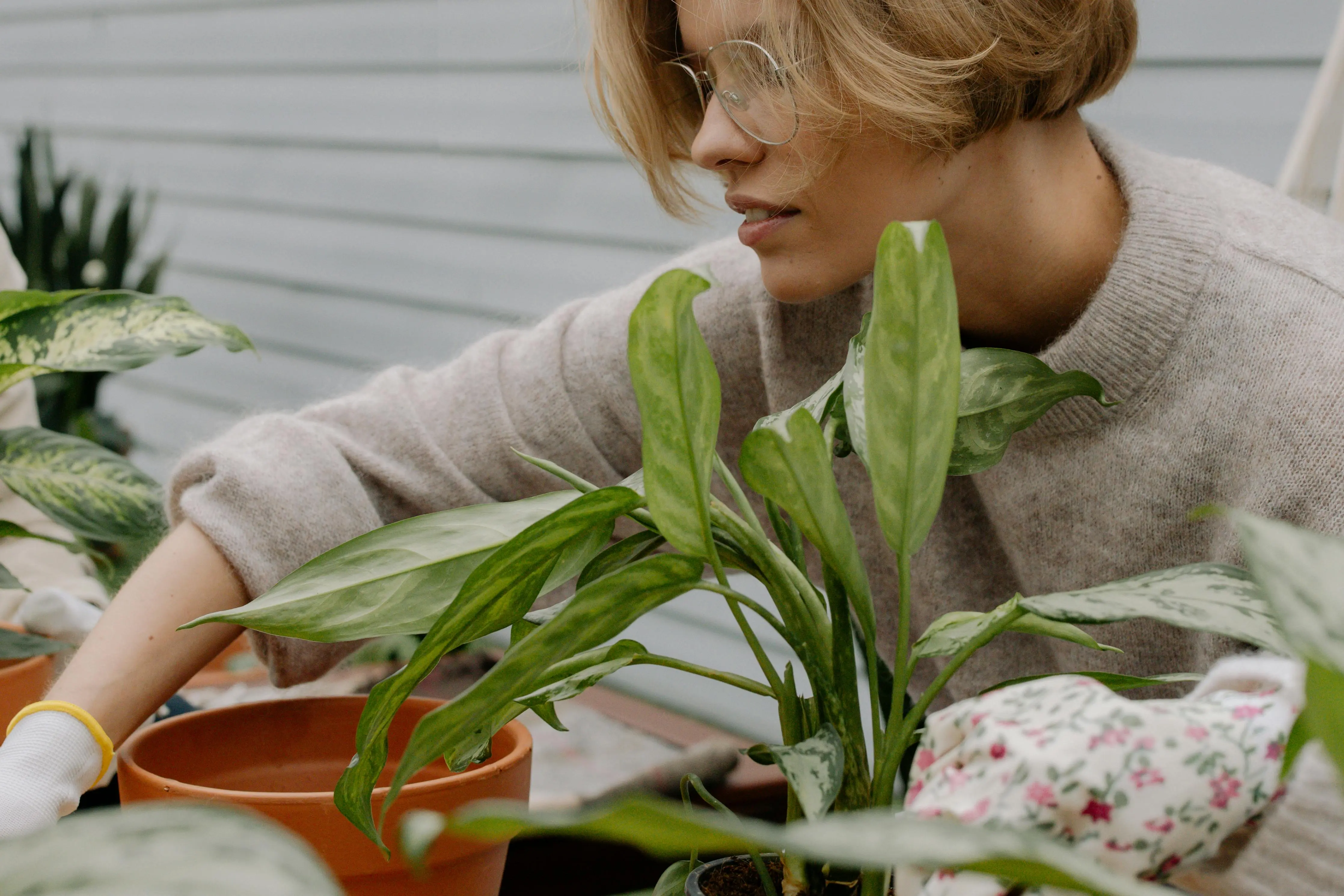 indoor plants minimal light A woman in a cozy sweater nurturing houseplants in an indoor garden setting.