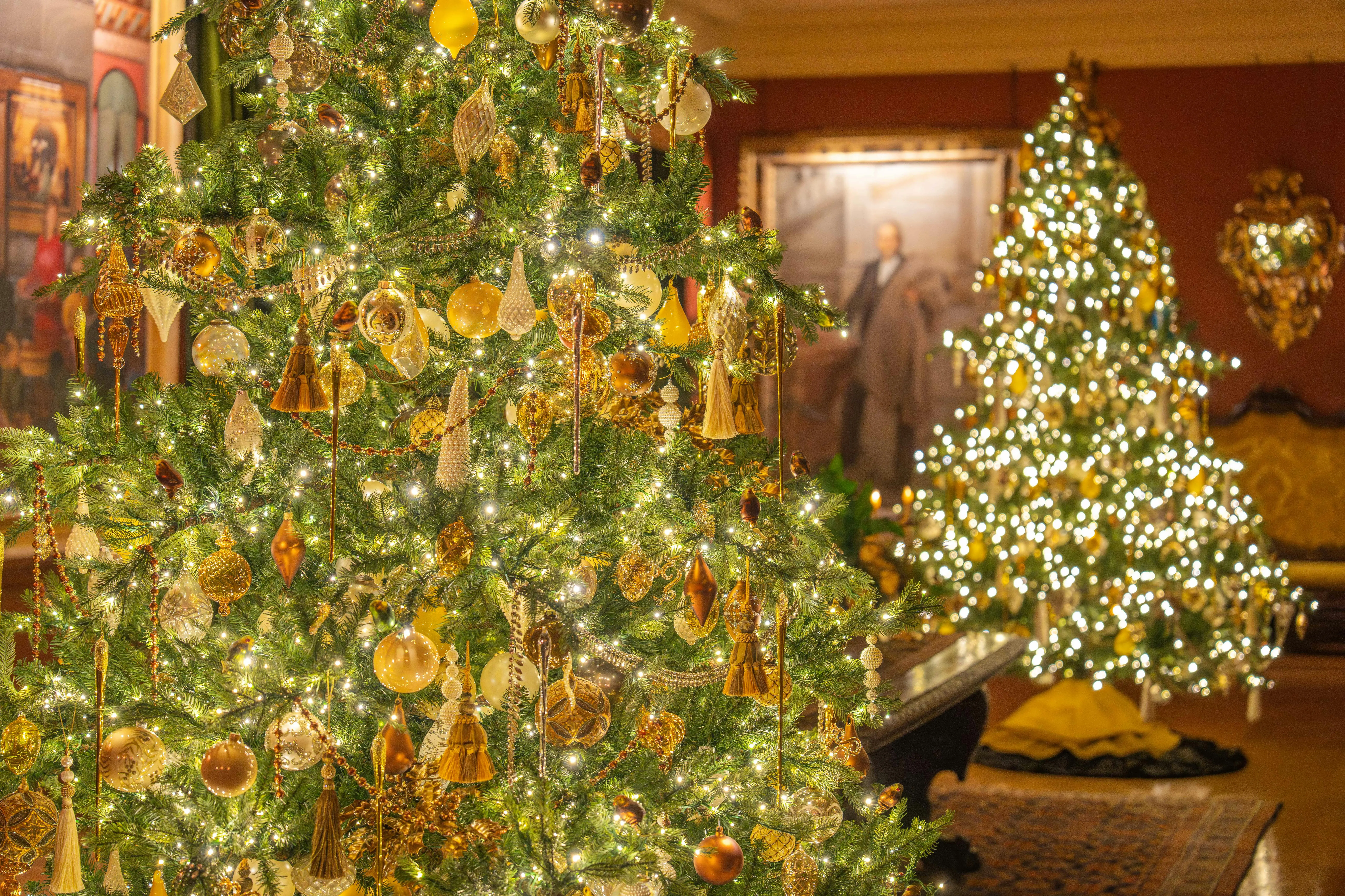 low light indoor trees Beautifully decorated Christmas trees with golden ornaments and lights in a cozy indoor setting.