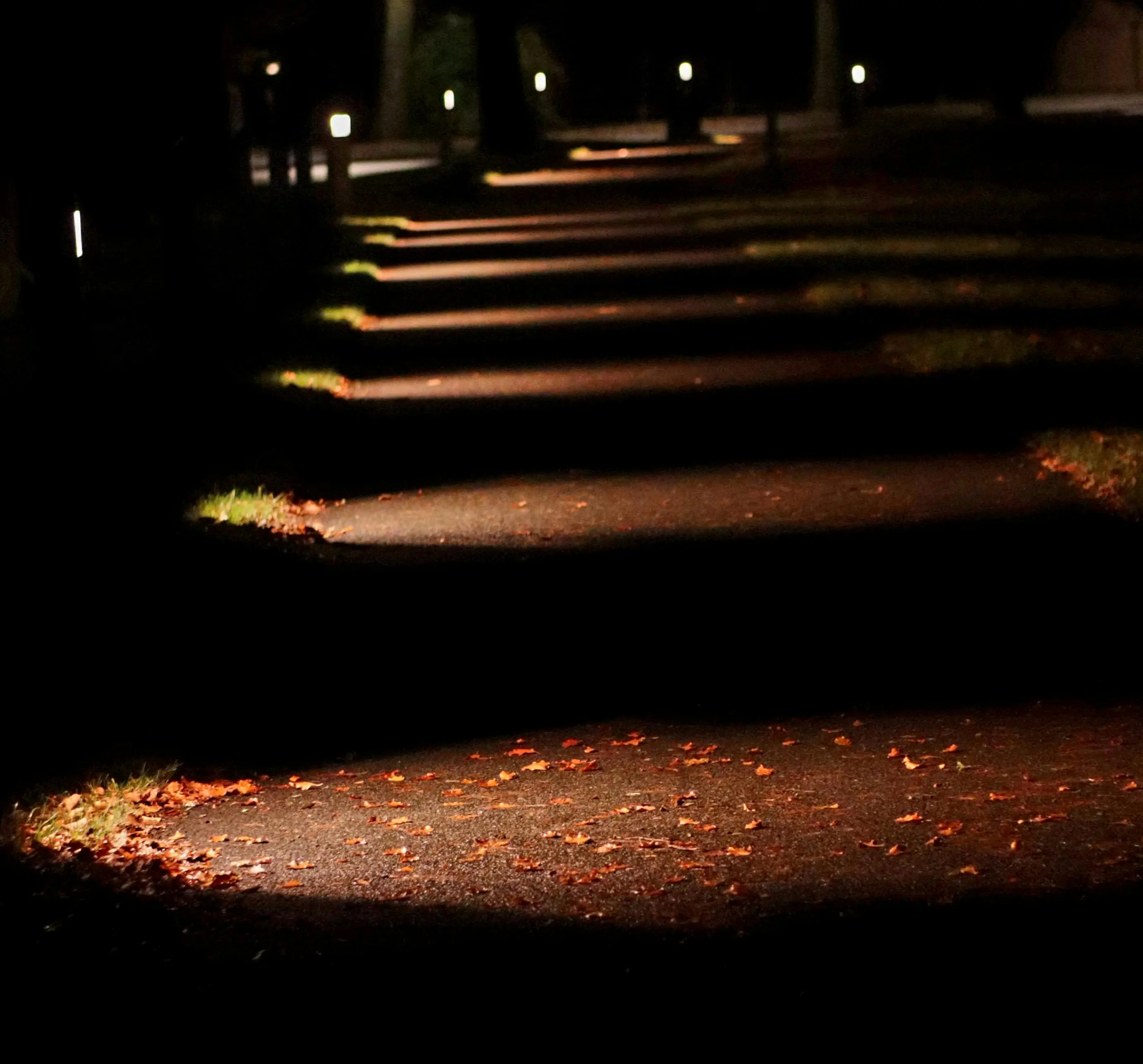 pathway lights An artistic nighttime view of a dark, shadowy path illuminated by strategic lighting, creating a mysterious ambiance.