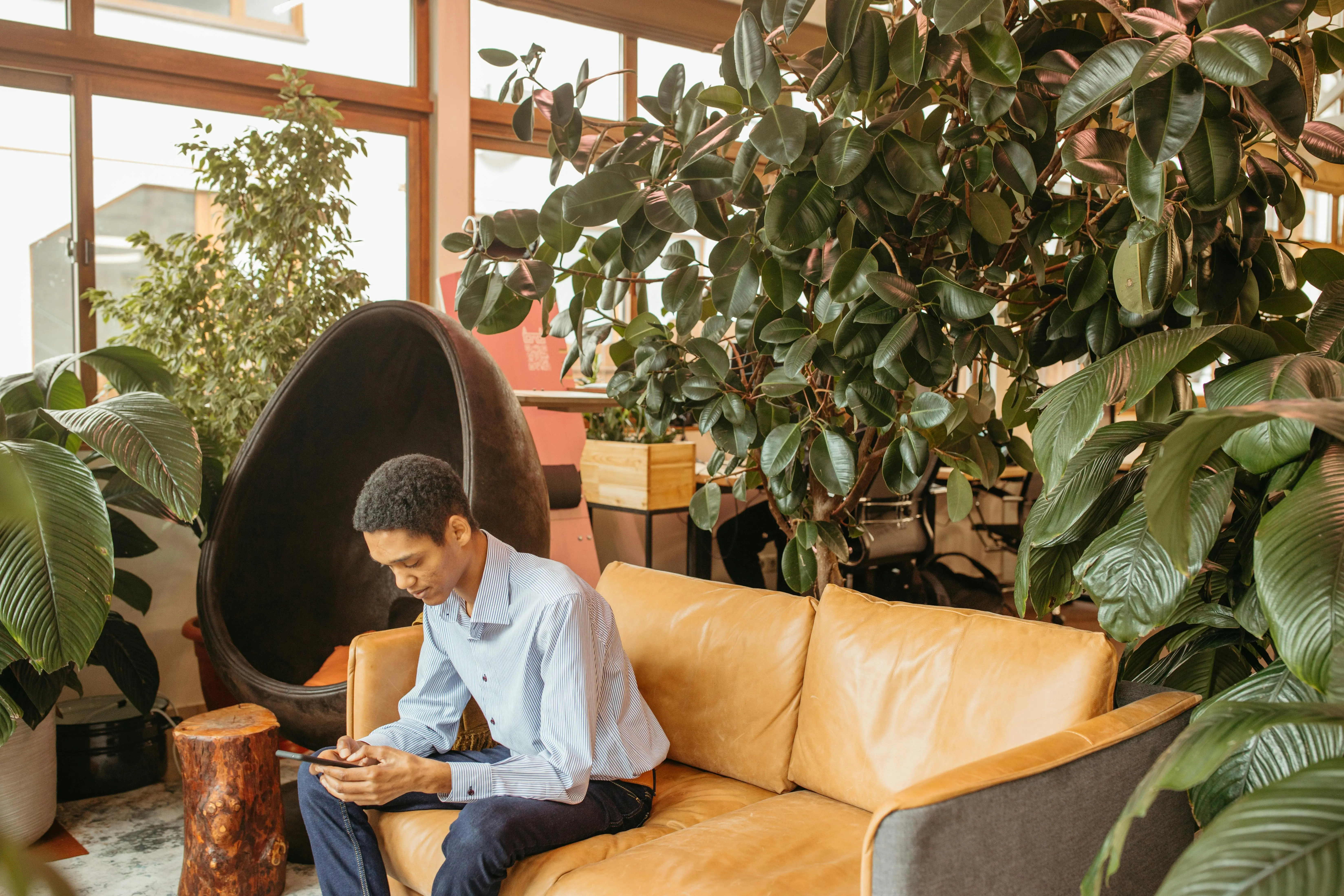 recommended office plants Man in a modern office setting using a smartphone surrounded by lush indoor plants.