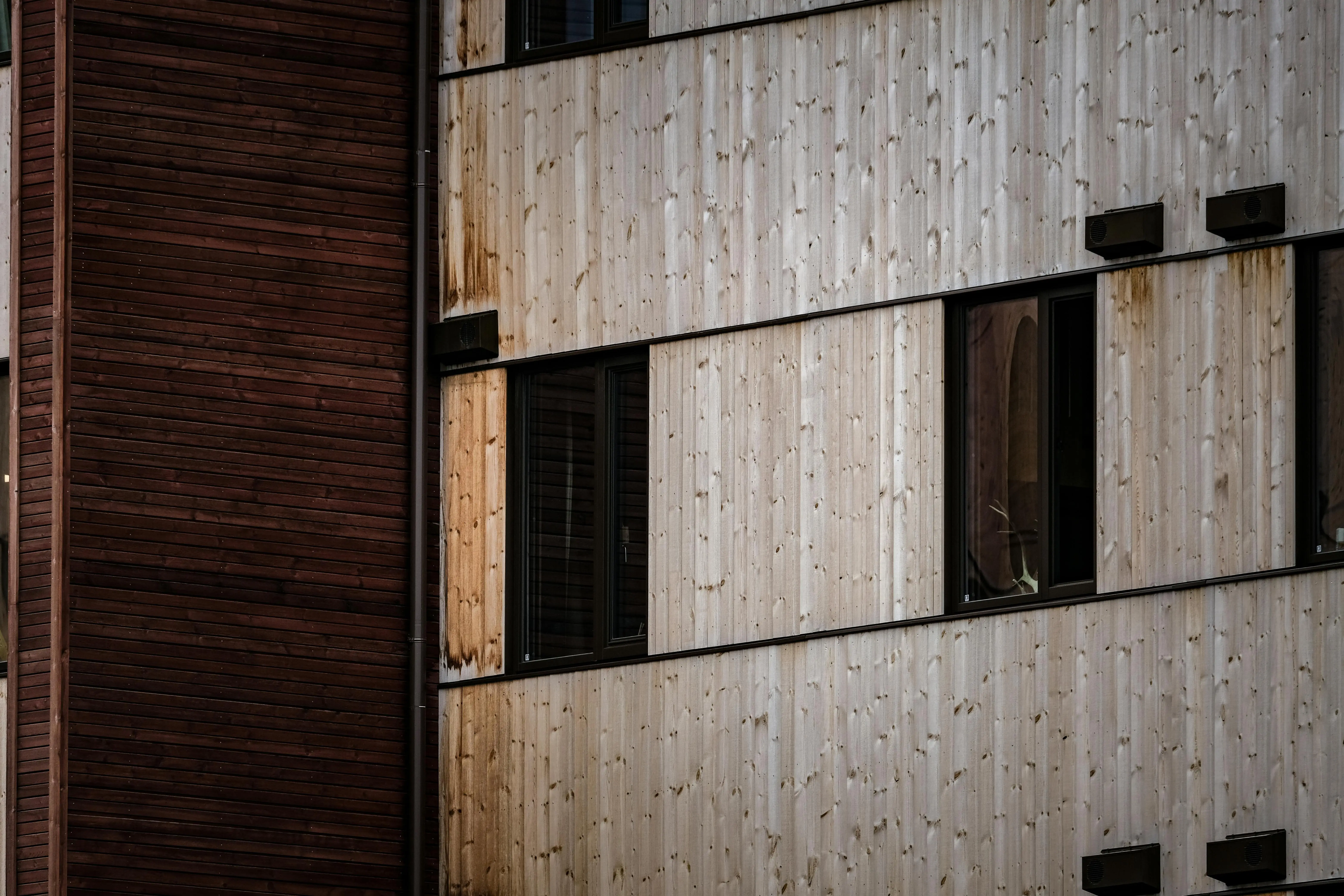 wood siding panels Close-up of a modern building facade with alternating wooden panels and windows.