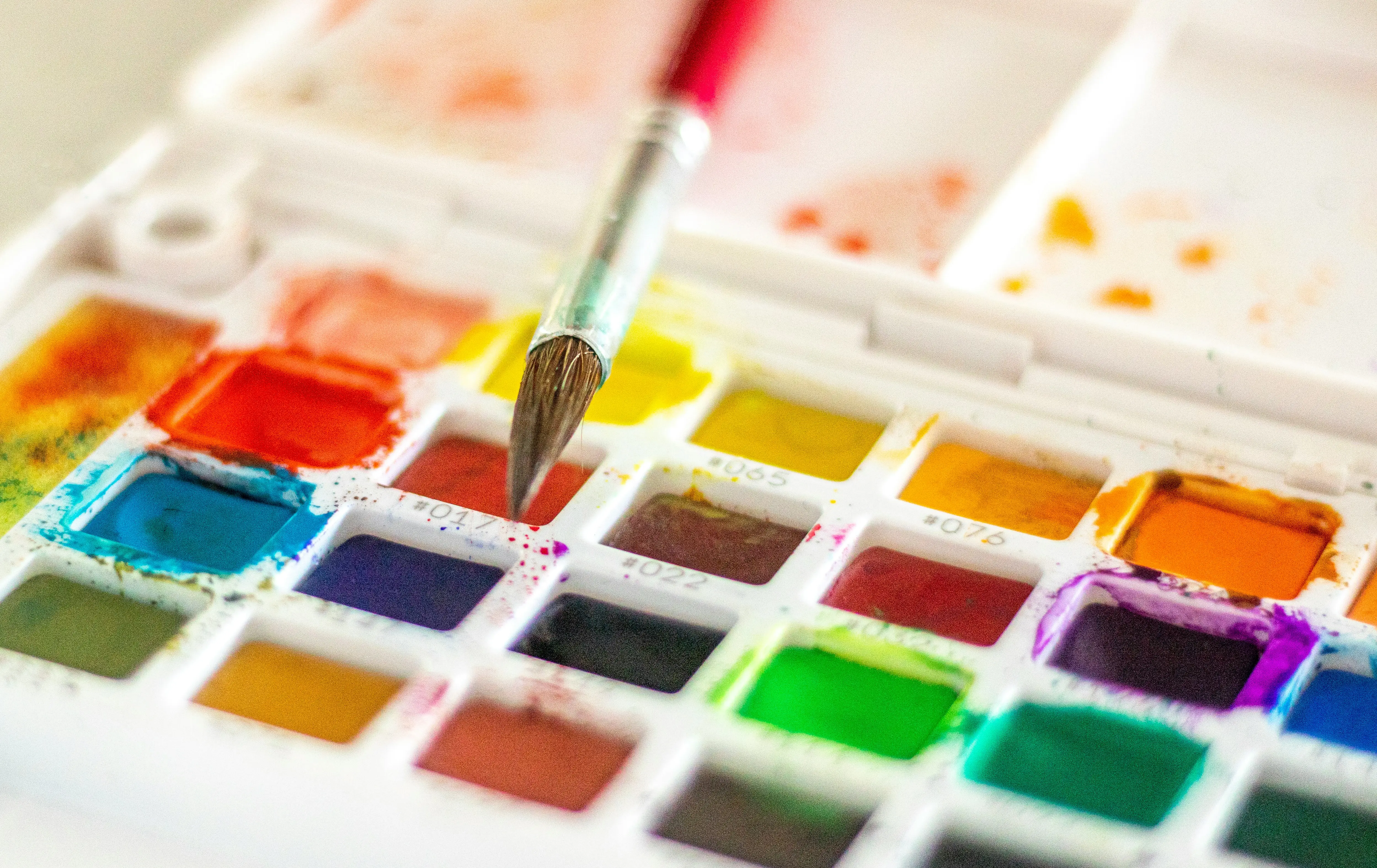 Watercolor Paint Set : The 7 Best for Vibrant Art