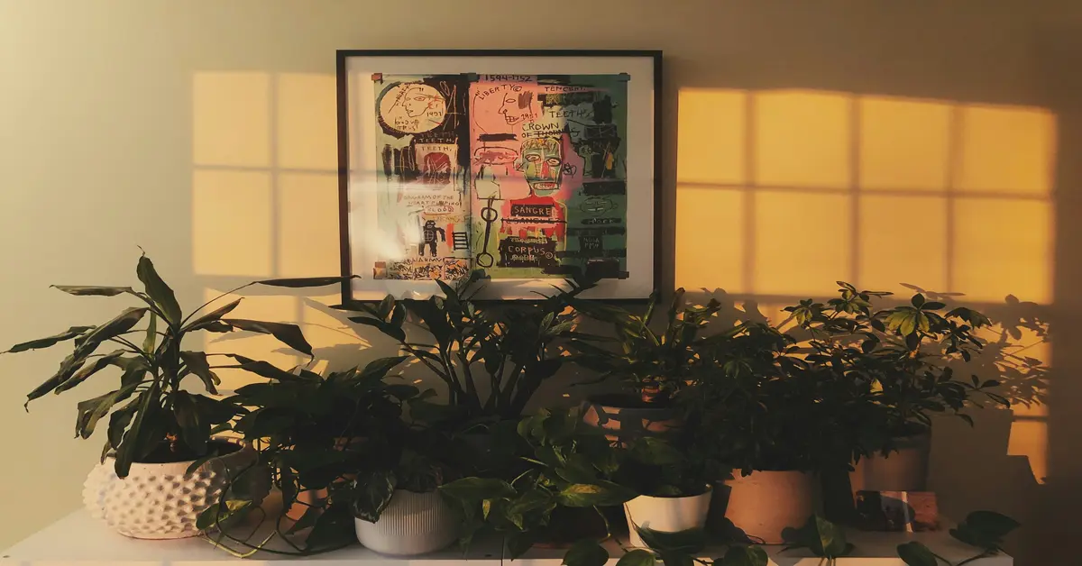 plants that don't require sunlight