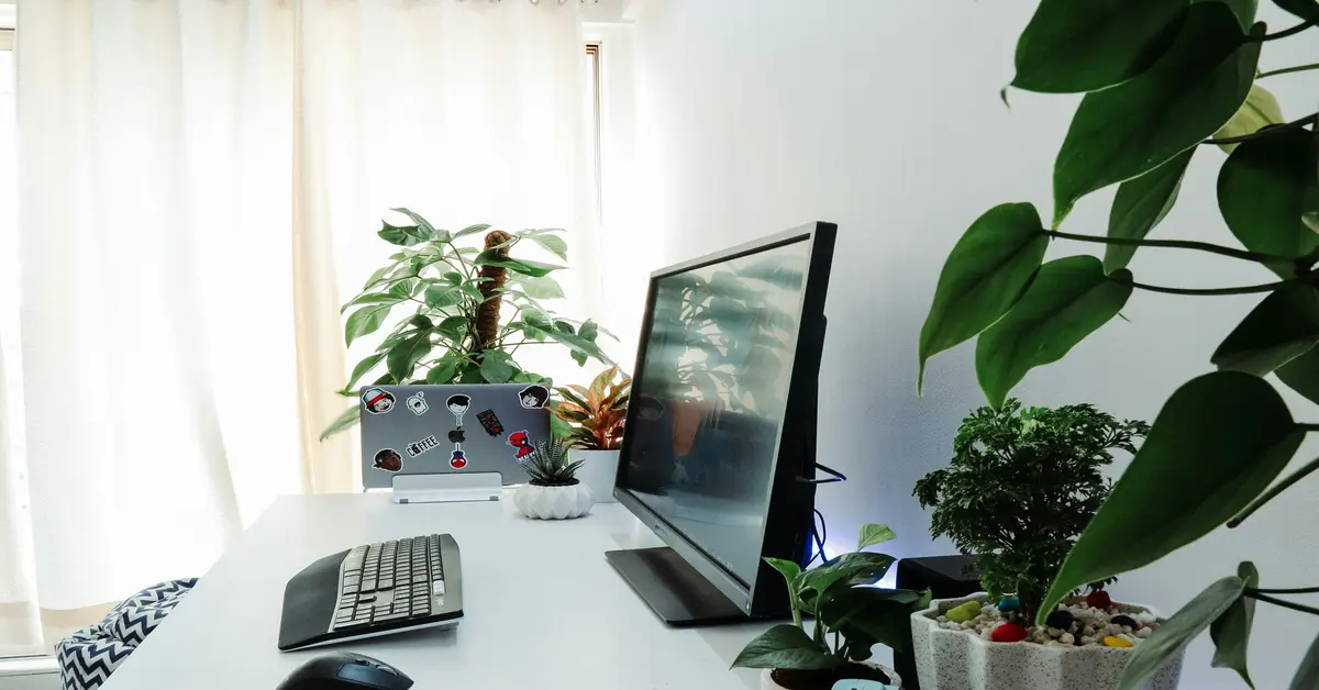 recommended office plants