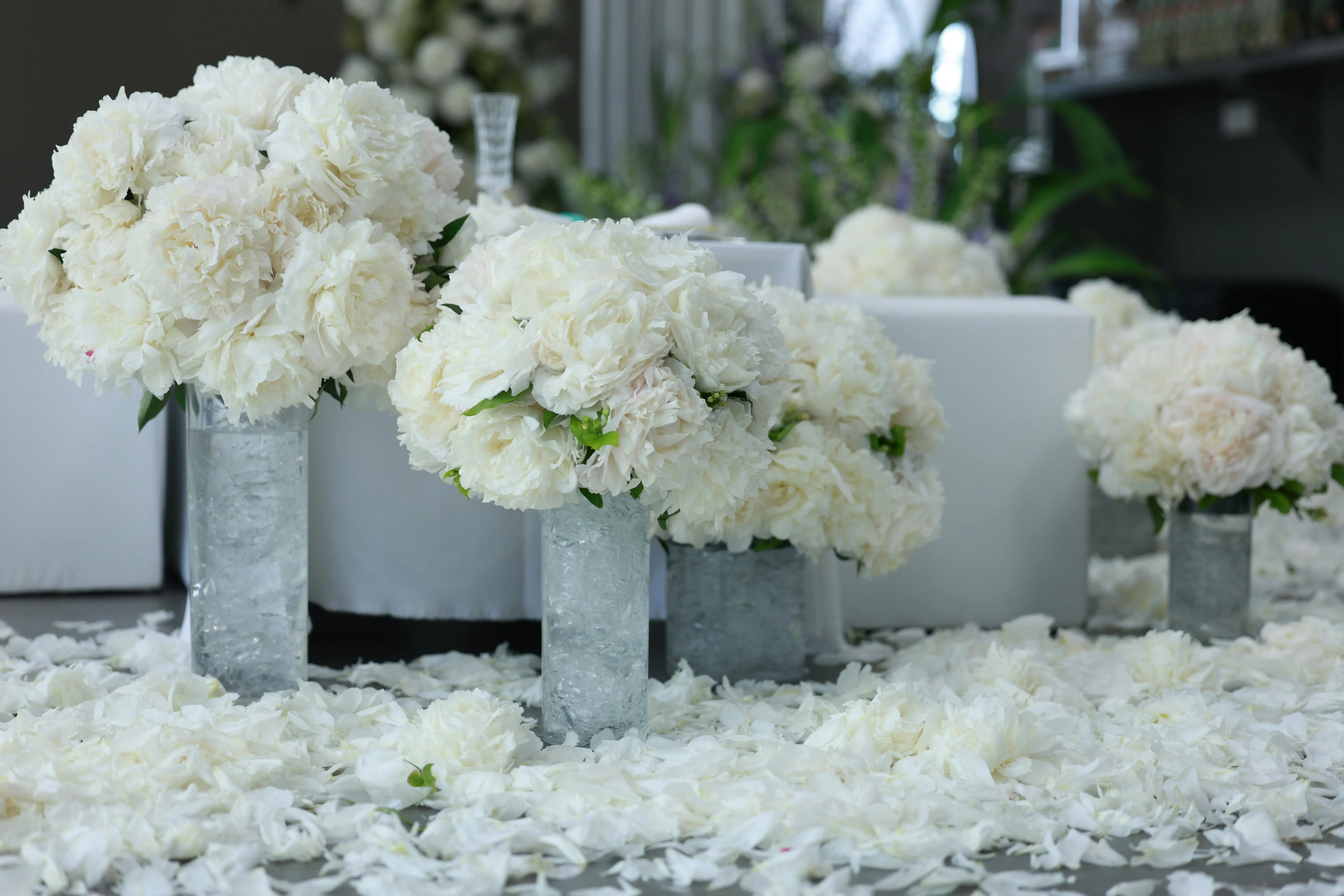 tiny white flowers Beautiful white peony arrangements on display, perfect for elegant events and weddings.