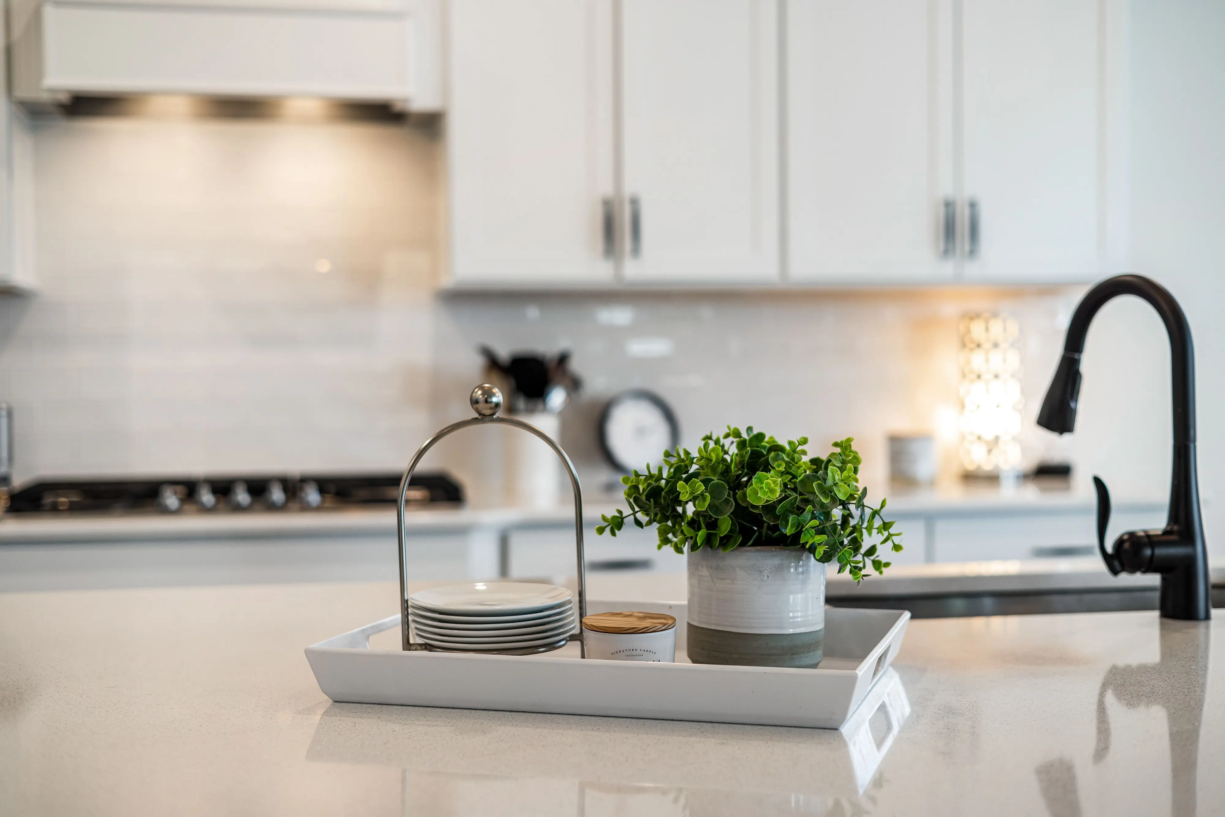mid century modern kitchen island A sleek modern kitchen counter with decor accents, including a potted plant and a faucet.