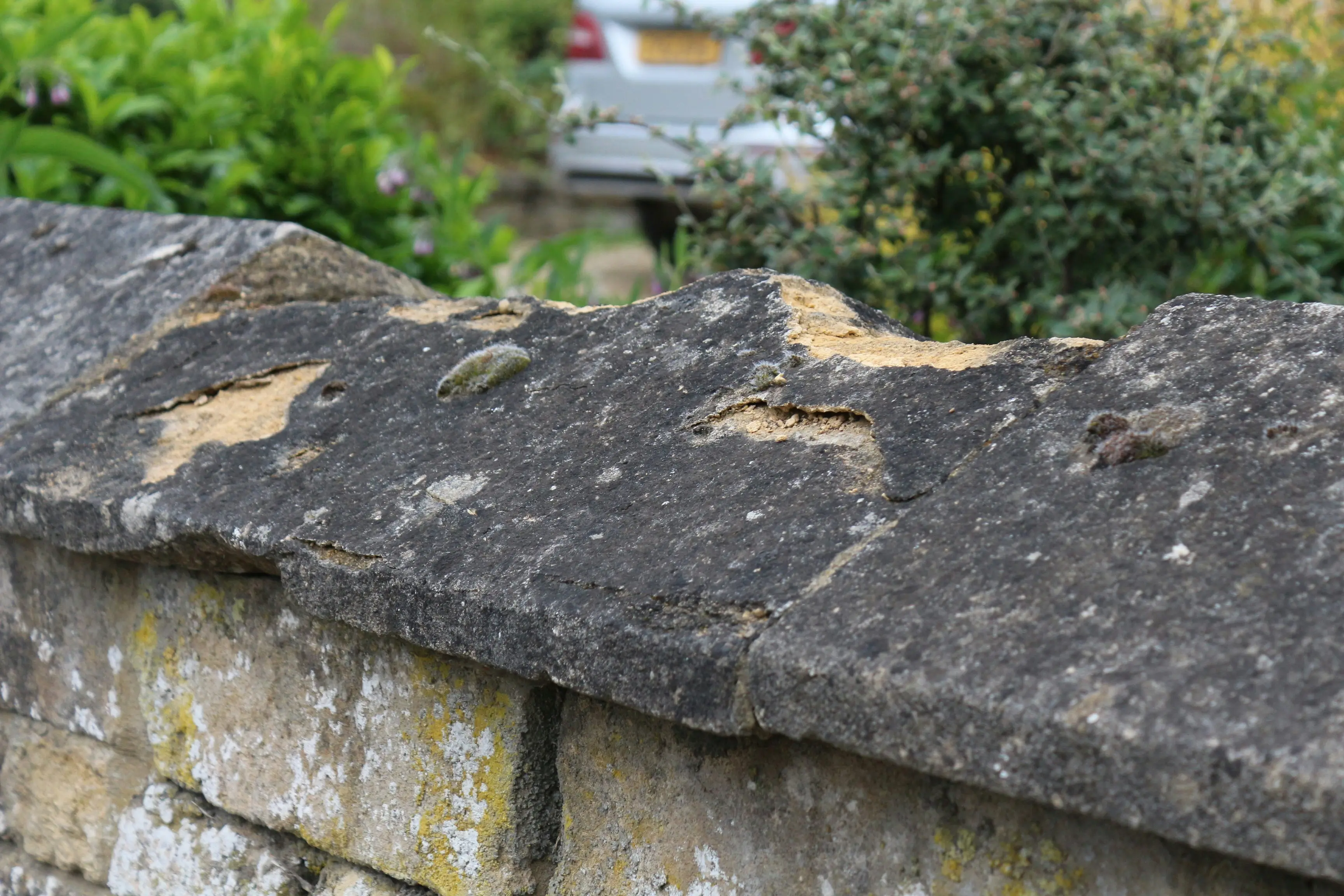 Mice in Walls : 5 Urgent Ways to Evict Rodents